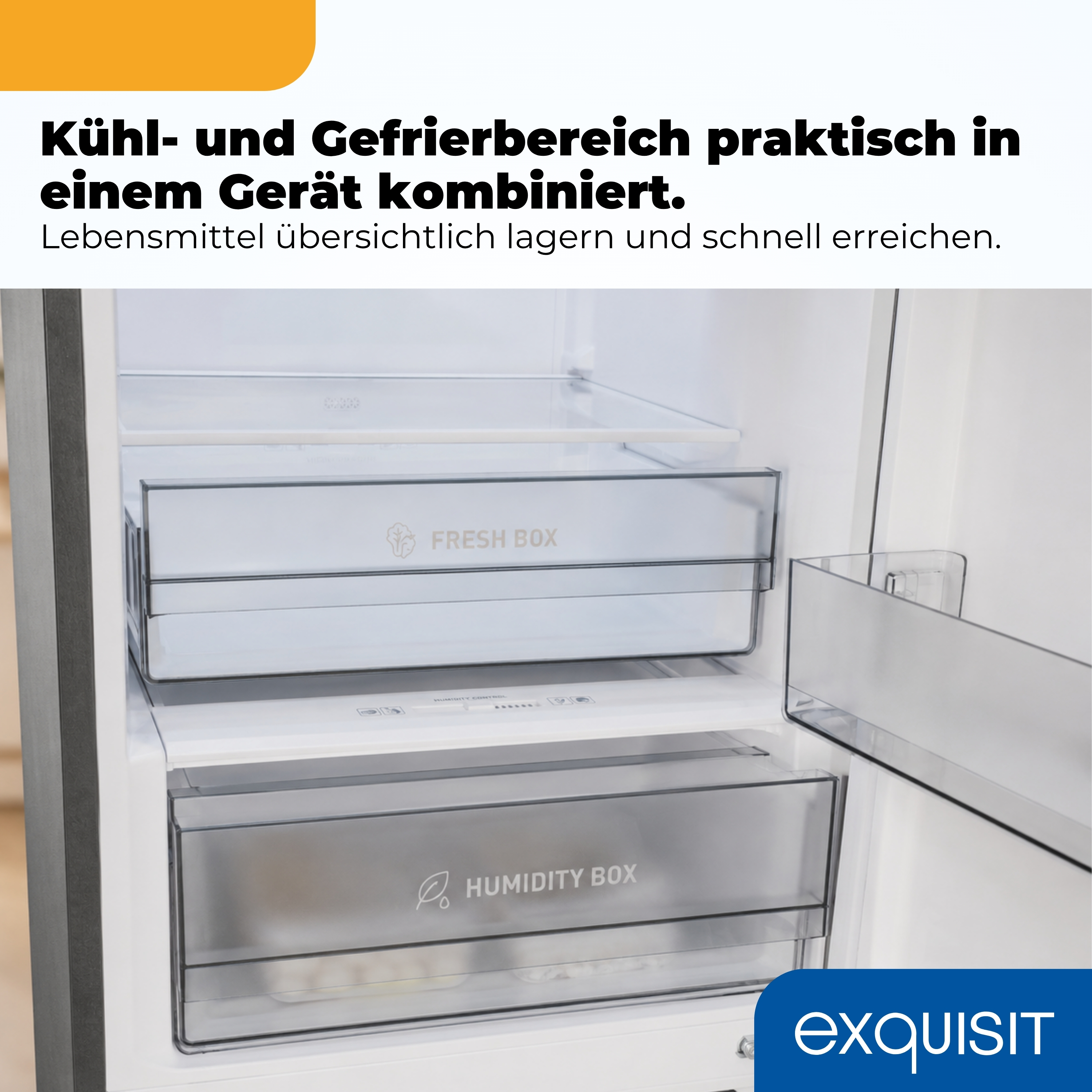 Innenansicht eines Kühlschranks mit Schubladen und Regalen.