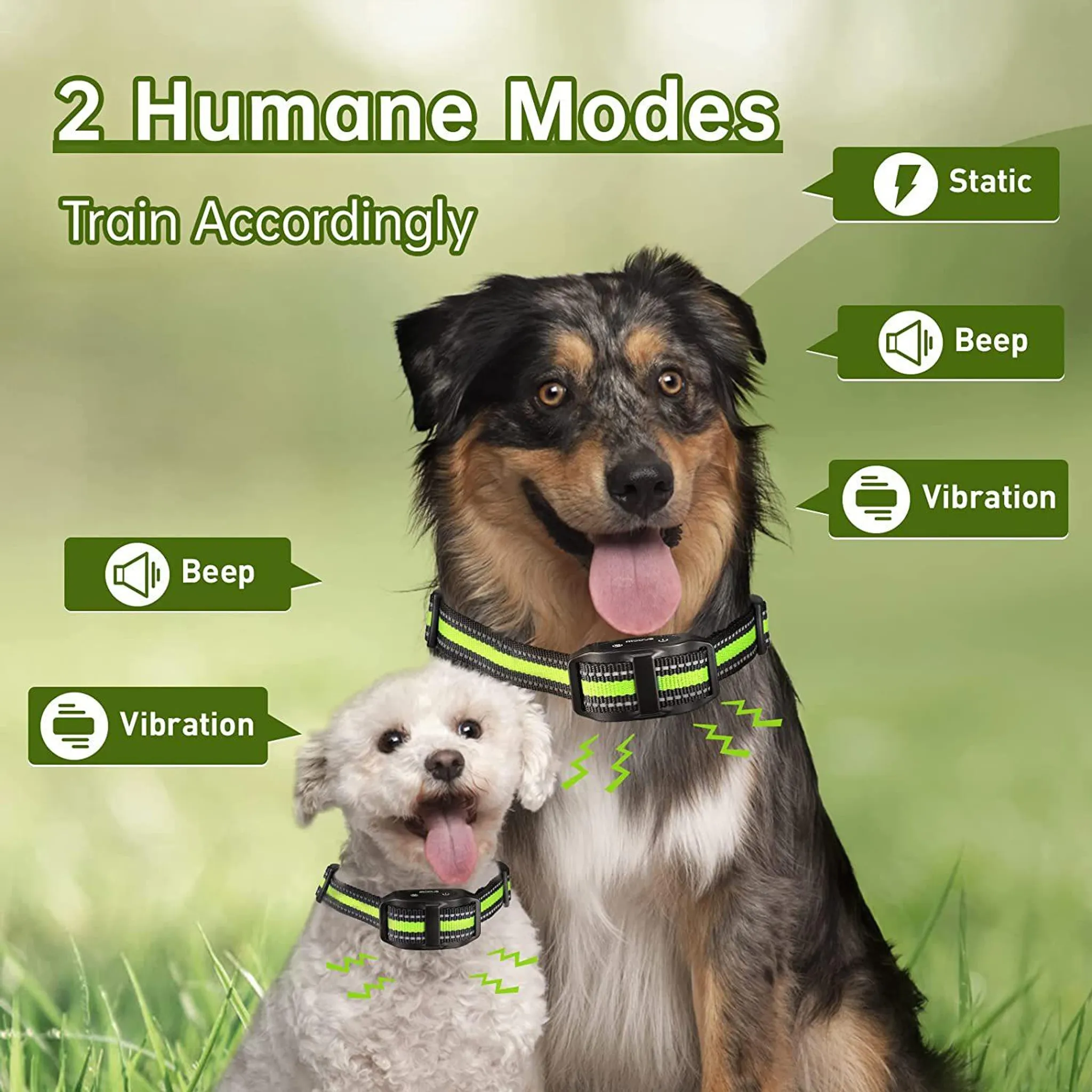 Zwei Hunde mit Halsbändern im Gras, die verschiedene Trainingsmodi anzeigen.