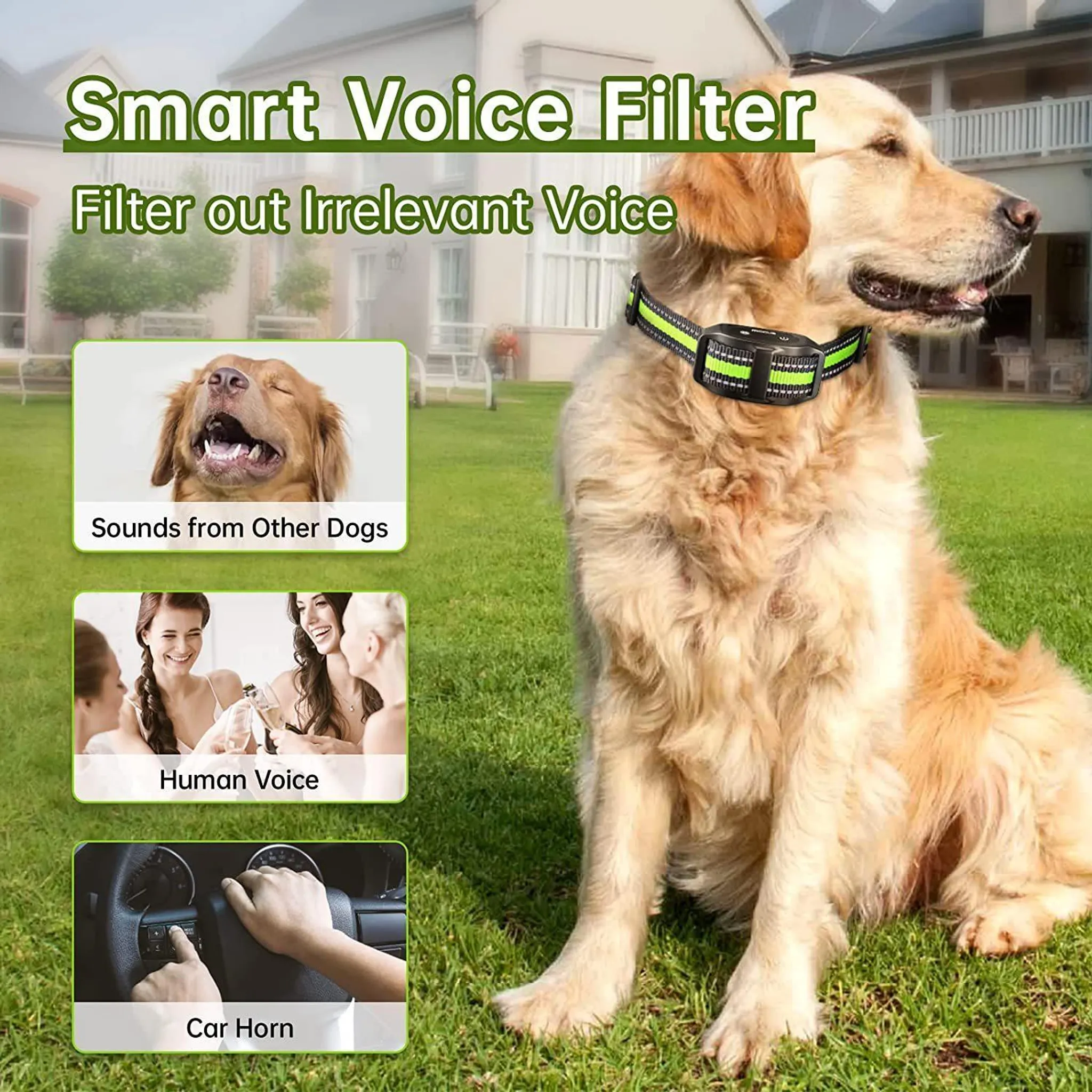 Ein Golden Retriever sitzt im Gras mit einem Halsband. Bilder zeigen einen Hund, Menschen und ein Auto.
