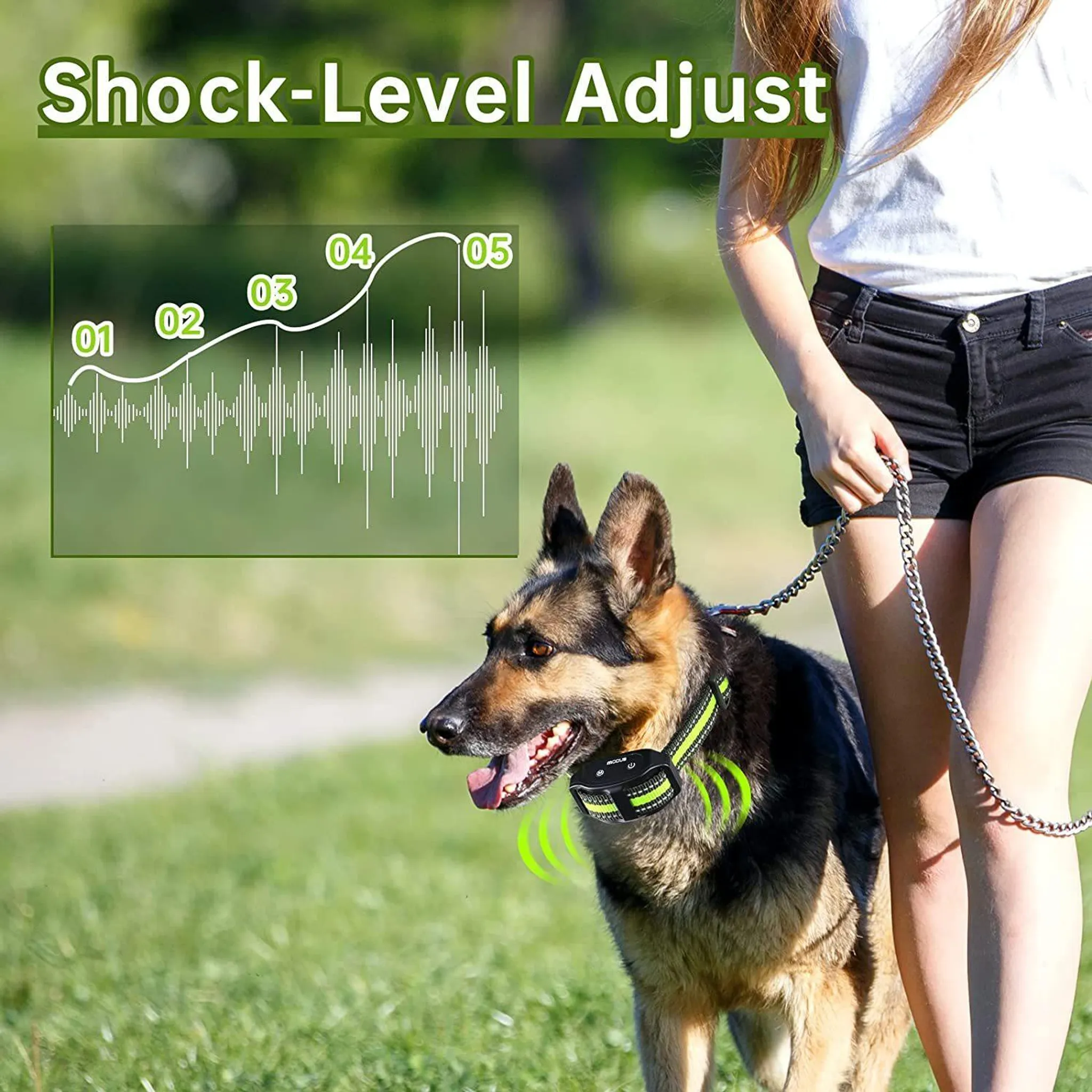 Deutscher Schäferhund mit Schockhalsband an der Leine, Grafik zeigt Schockstufen 01-05.
