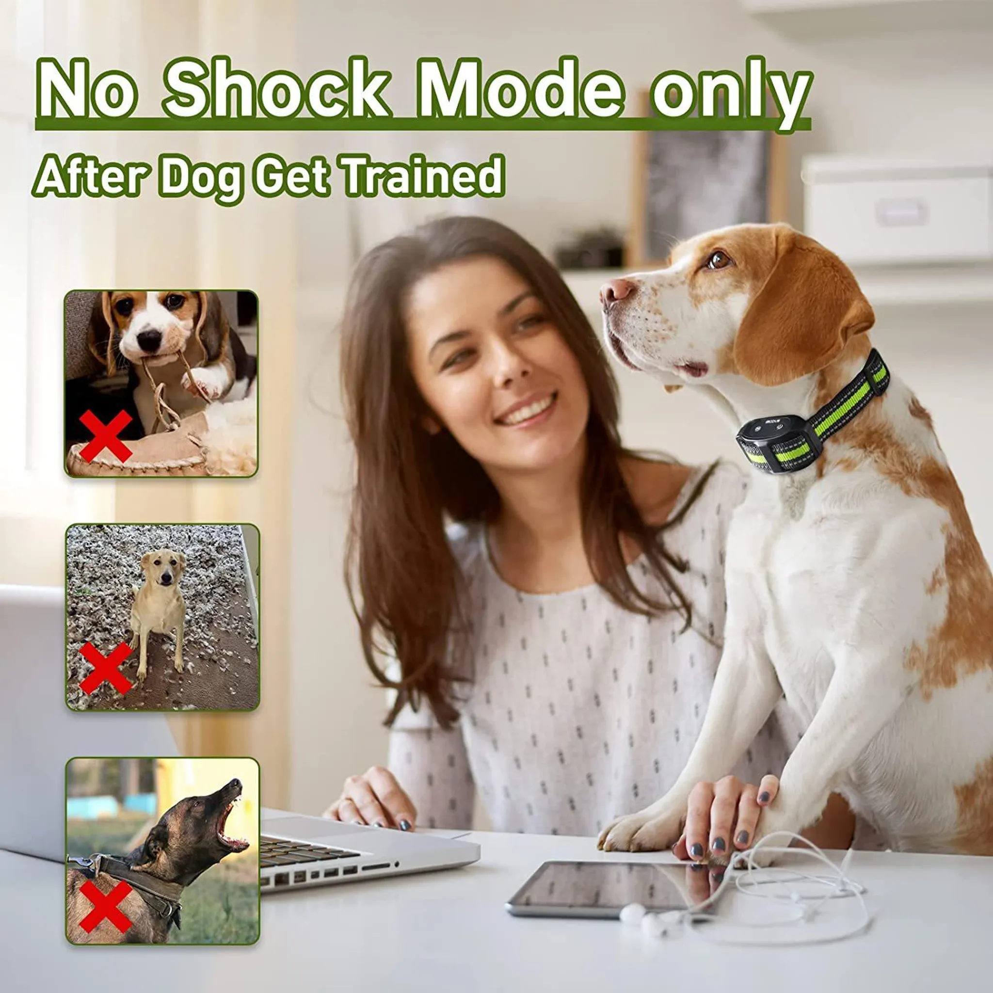 Frau mit Hund am Laptop, mit drei Bildern von Hunden, die unerwünschtes Verhalten zeigen.