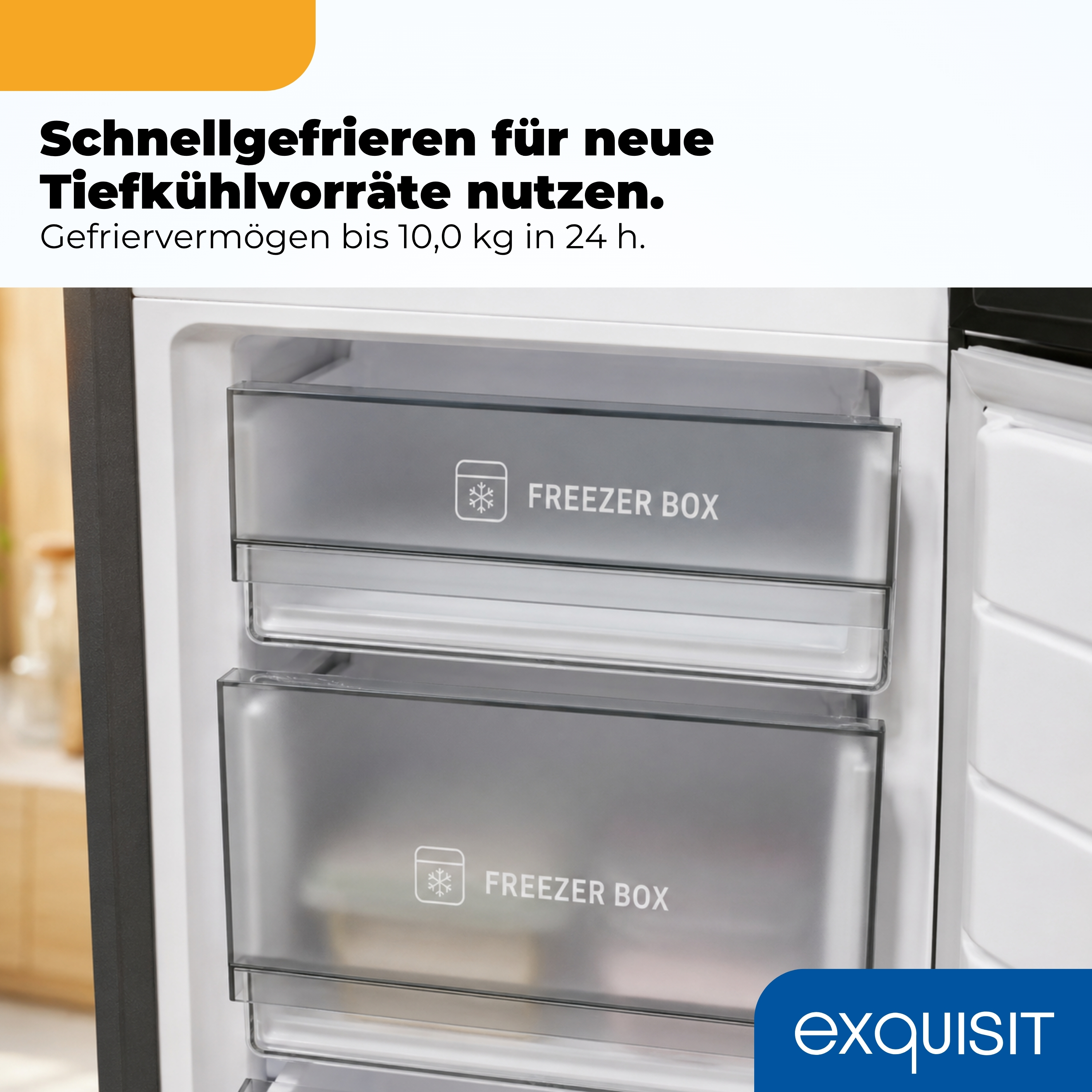 Einbaukühlschrank mit zwei "FREEZER BOX" Schubladen. Logo 