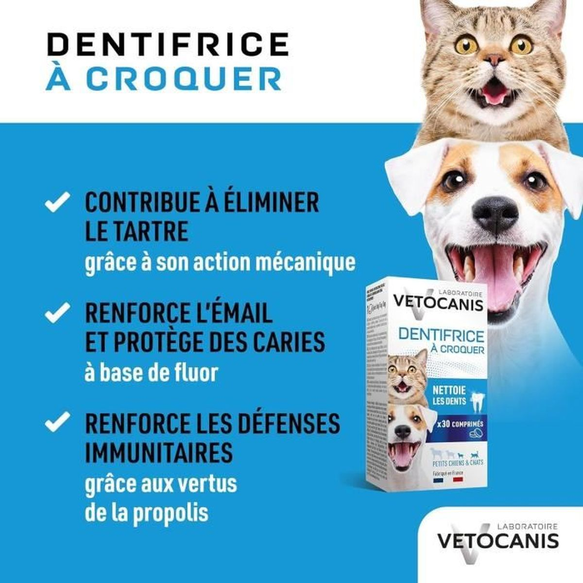 Un cane e un gatto pubblicizzano cure dentali masticabili per animali.