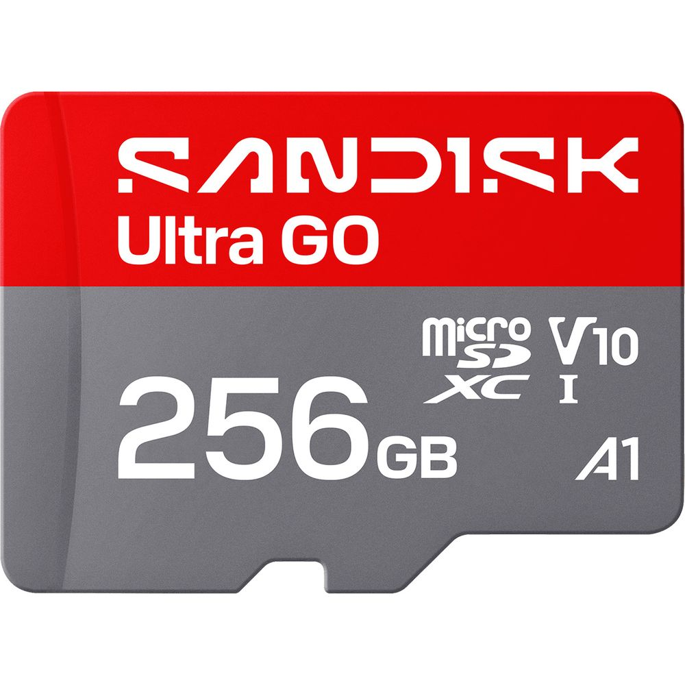 Carte microSDXC SanDisk Ultra GO 256 Go avec notation V10 et A1.