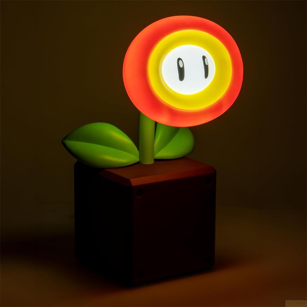 Une Fleur de Feu lumineuse dans un pot marron avec des feuilles vertes. L'arrière-plan est sombre.