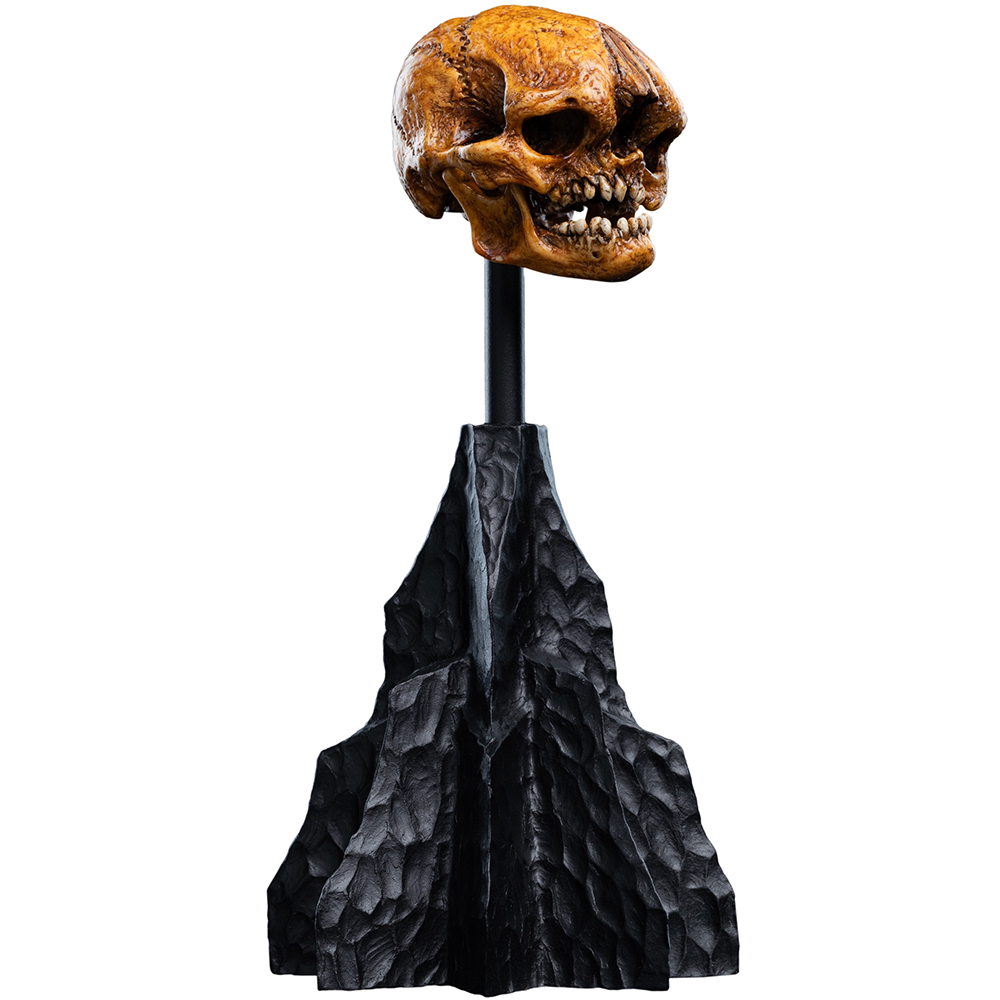 Ein orangebrauner Totenkopf auf einem schwarzen, felsigen Sockel.