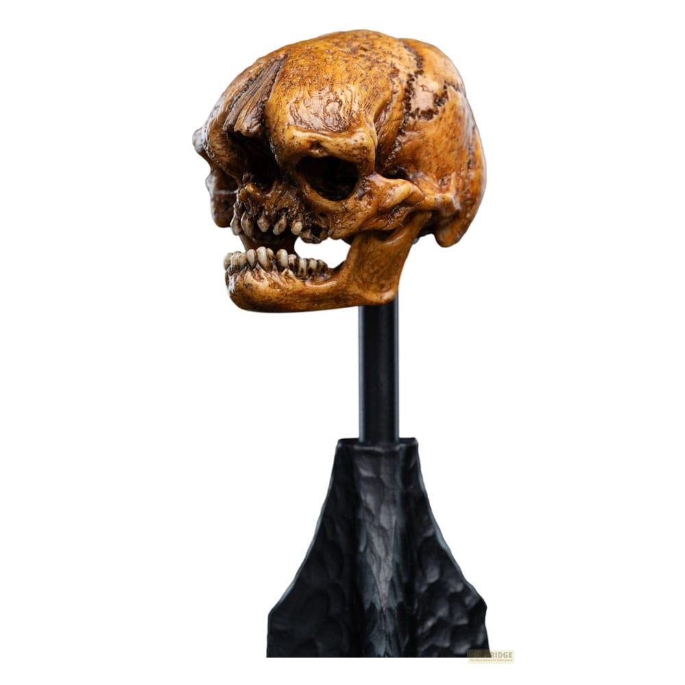 Ein geschnitzter brauner Totenkopf mit entblößten Zähnen steht auf einem schwarzen Ständer.