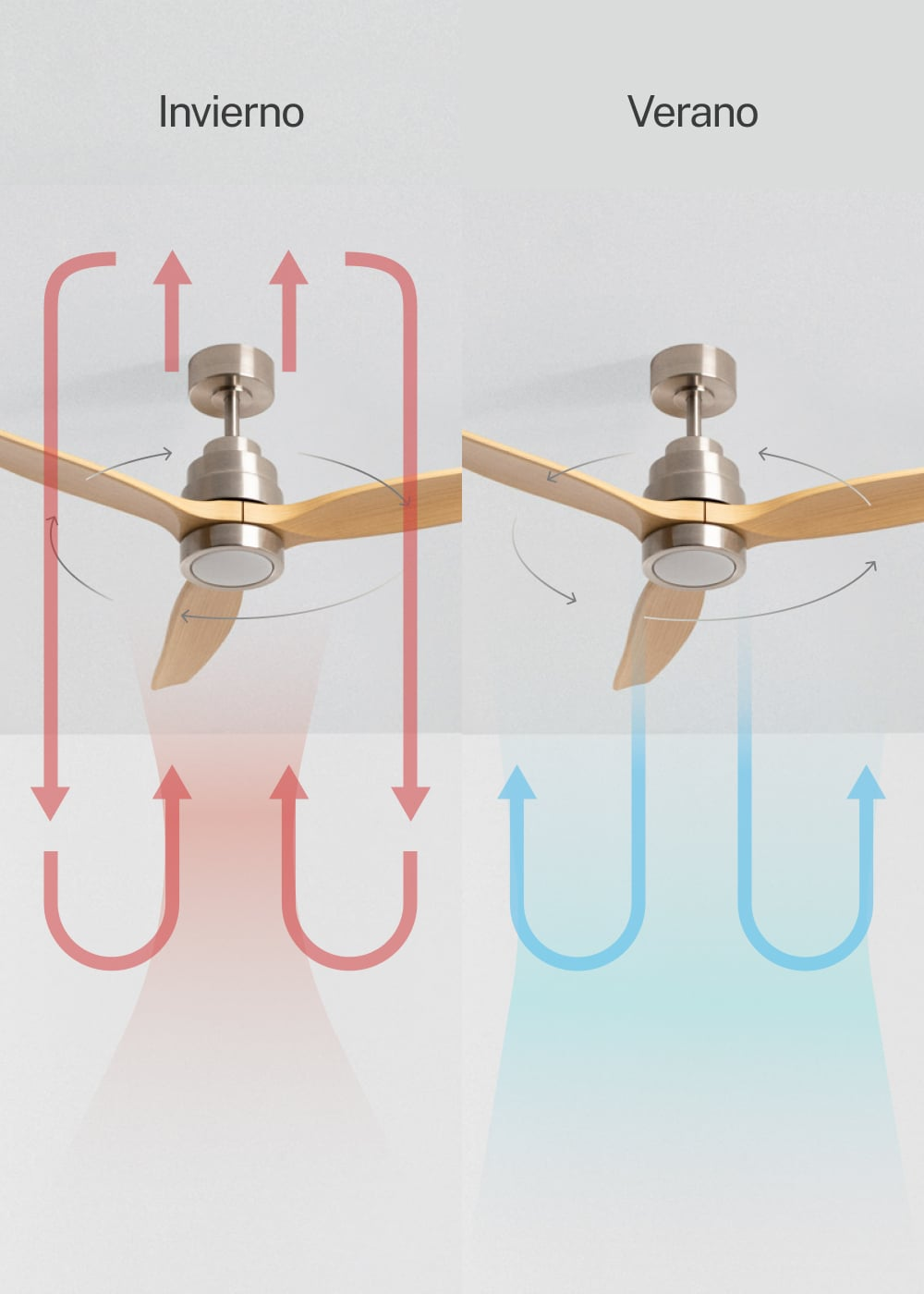 Ventilador de techo: Modo invierno (flujo ascendente) y modo verano (flujo descendente).