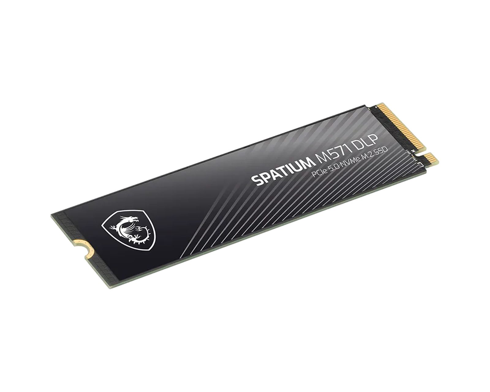 Un SSD M.2 nero con logo MSI argentato e testo.