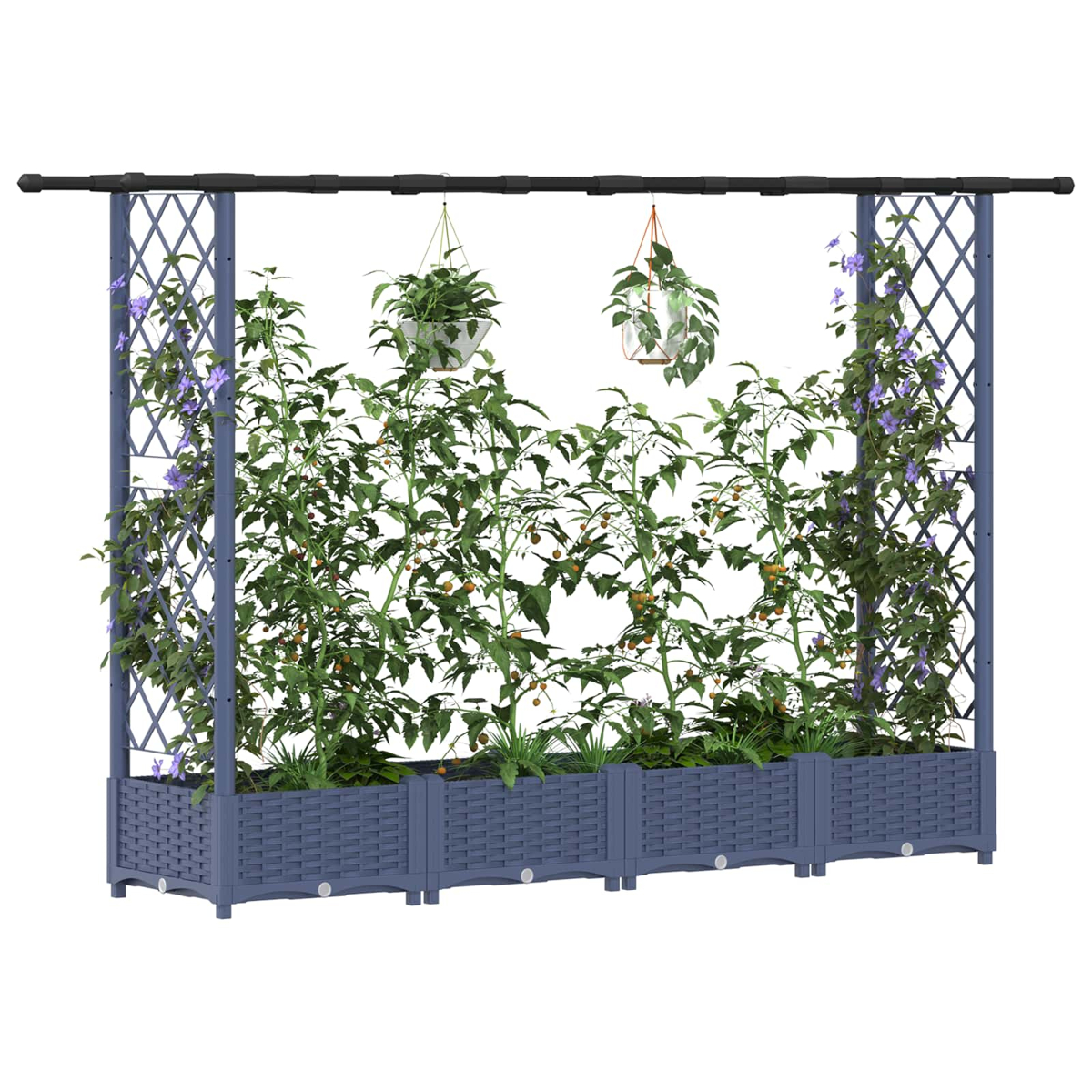 Blaue Pflanzkästen mit Spalieren halten Tomatenpflanzen und Hängepflanzen.