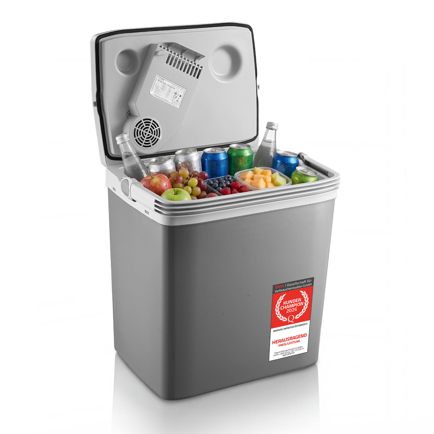 Grauer Kühlbox mit Früchten, Dosen und Flaschen gefüllt. Lüfter im Deckel.