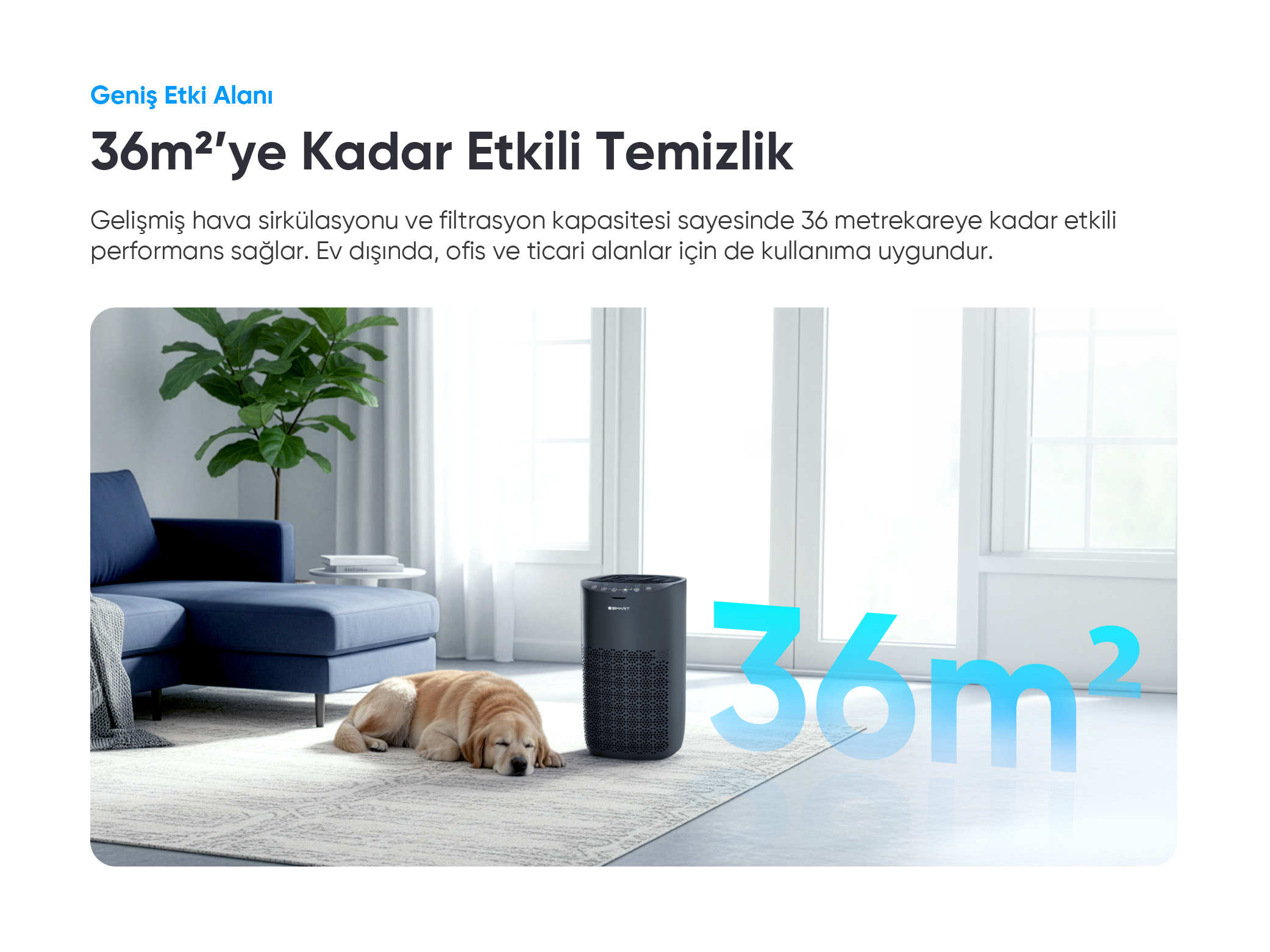 Bir köpek, hava temizleyici ve kanepenin yanında halıda uyuyor.
