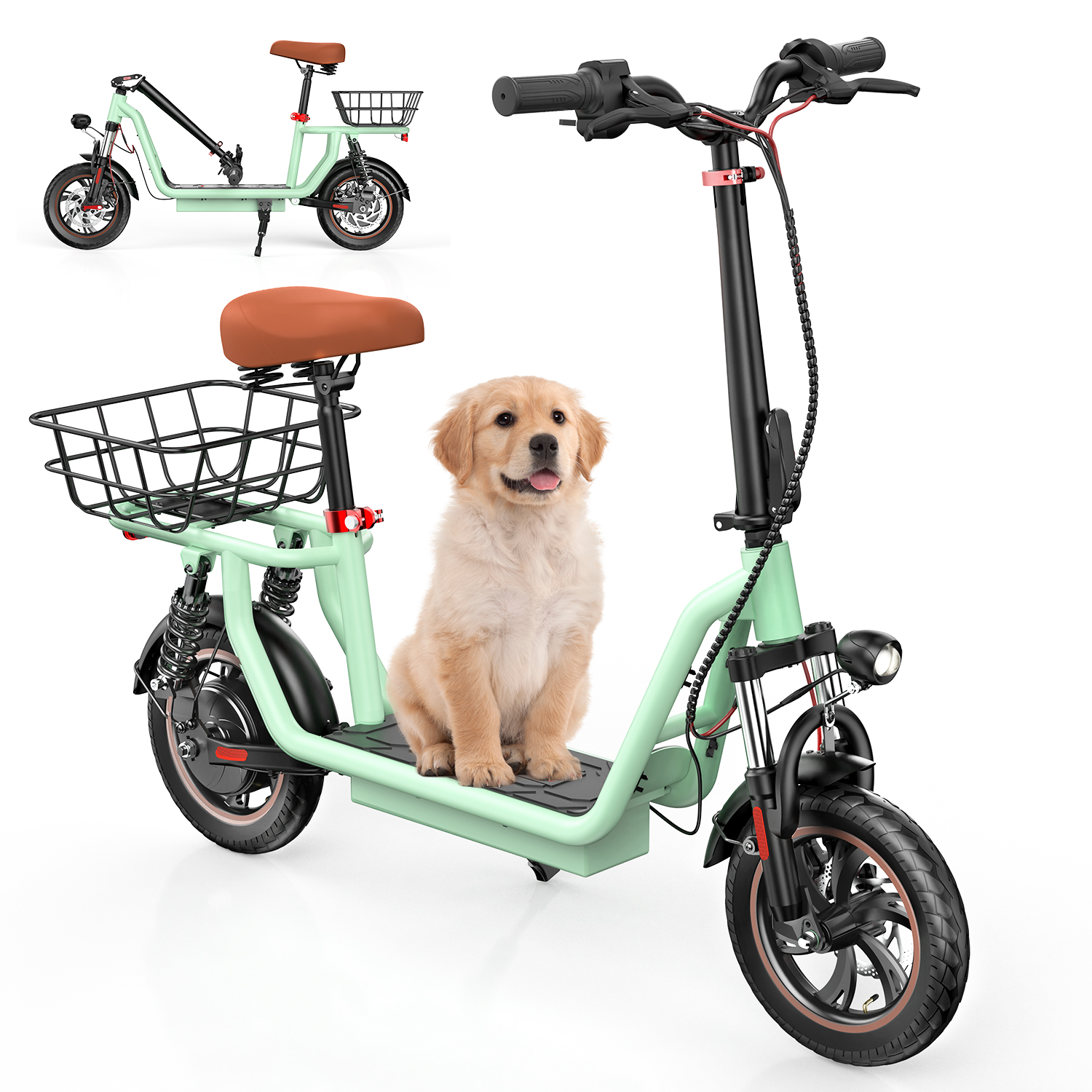 Uno scooter elettrico verde chiaro con sella e cestino marroni, accanto a un cucciolo golden retriever.