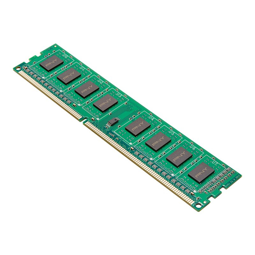 Un modulo RAM verde con chip PNY e connettore dorato su sfondo bianco.