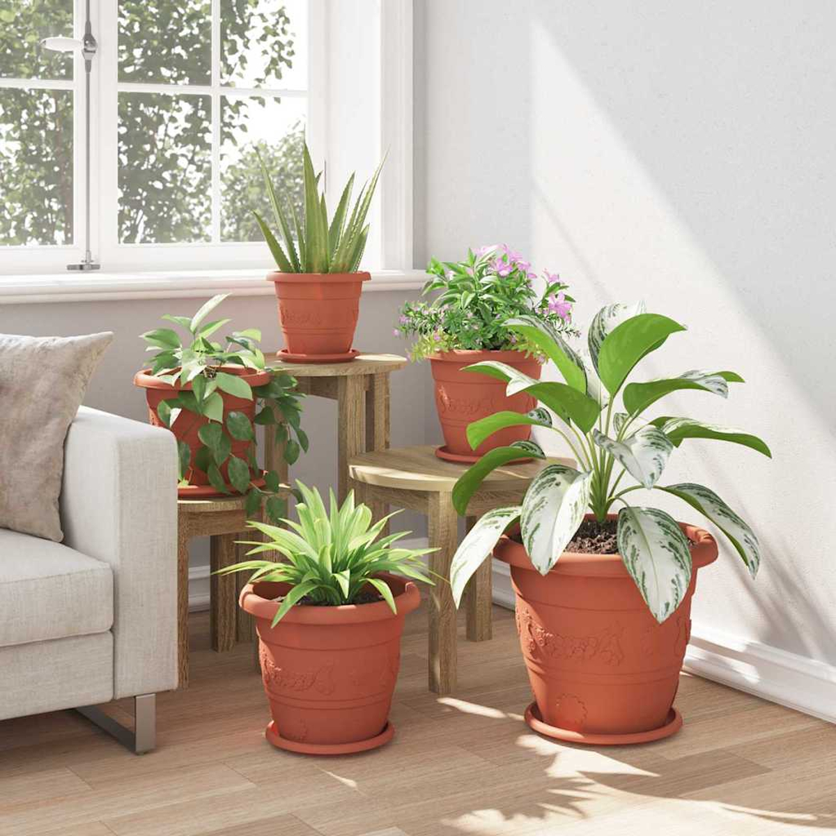 Diverse piante in vasi di terracotta sono collocate in una stanza luminosa.