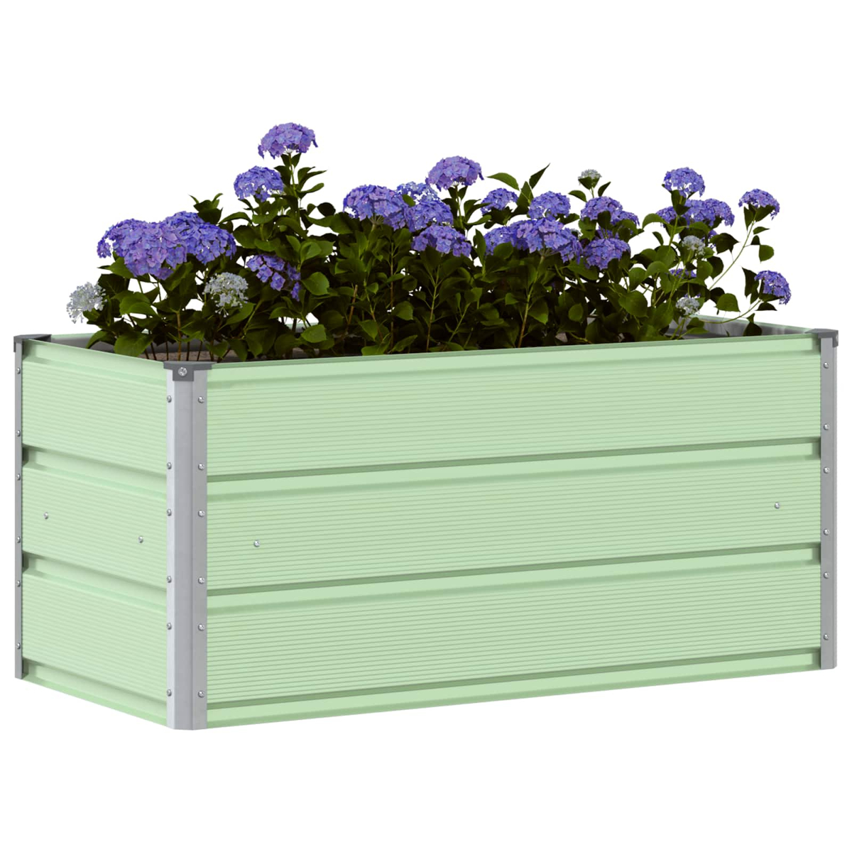 Un'aiuola rialzata verde chiaro con ortensie blu in fiore.