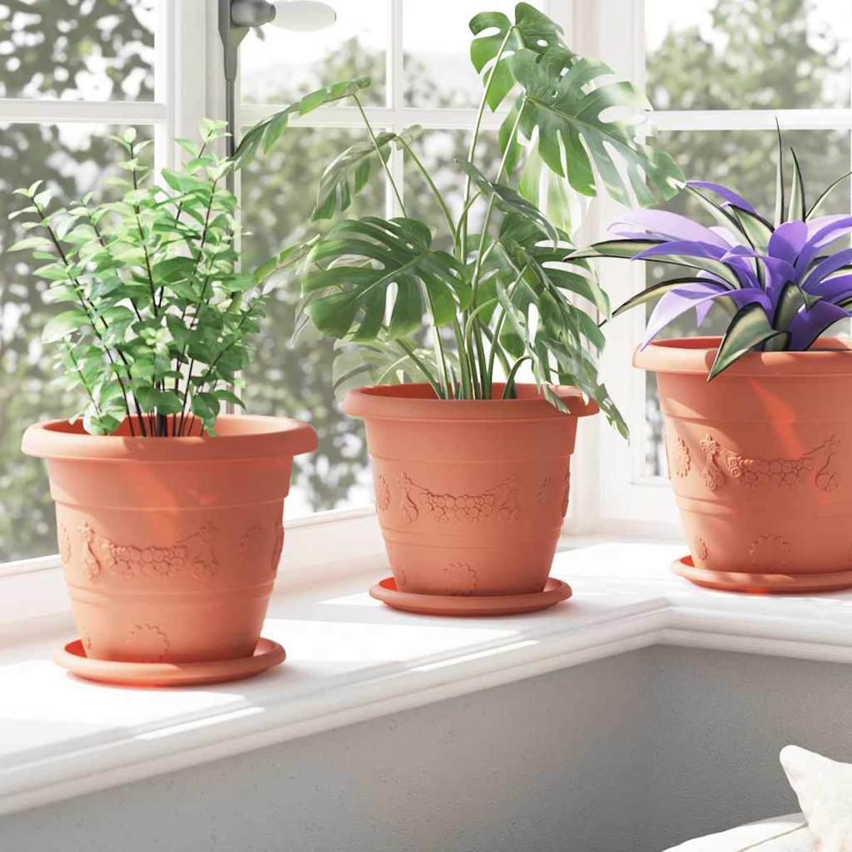 Tre piante in vaso su un davanzale: felce, monstera e pianta viola.