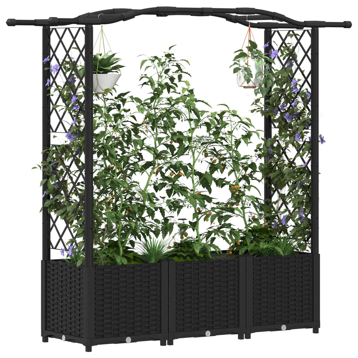 Ein schwarzes Metallrankgitter mit hängenden Pflanzgefäßen und Pflanzen. Zeigt Tomatenpflanzen, lila Blüten und grünes Laub.