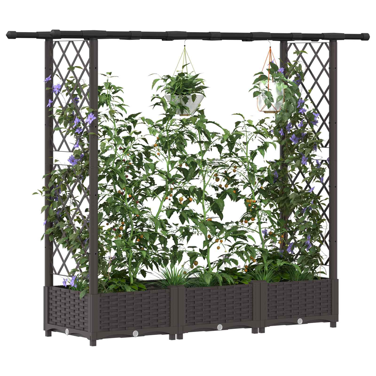 Ein dunkler Rankgitter-Garten mit Pflanzen, Tomaten und Hängekörben.