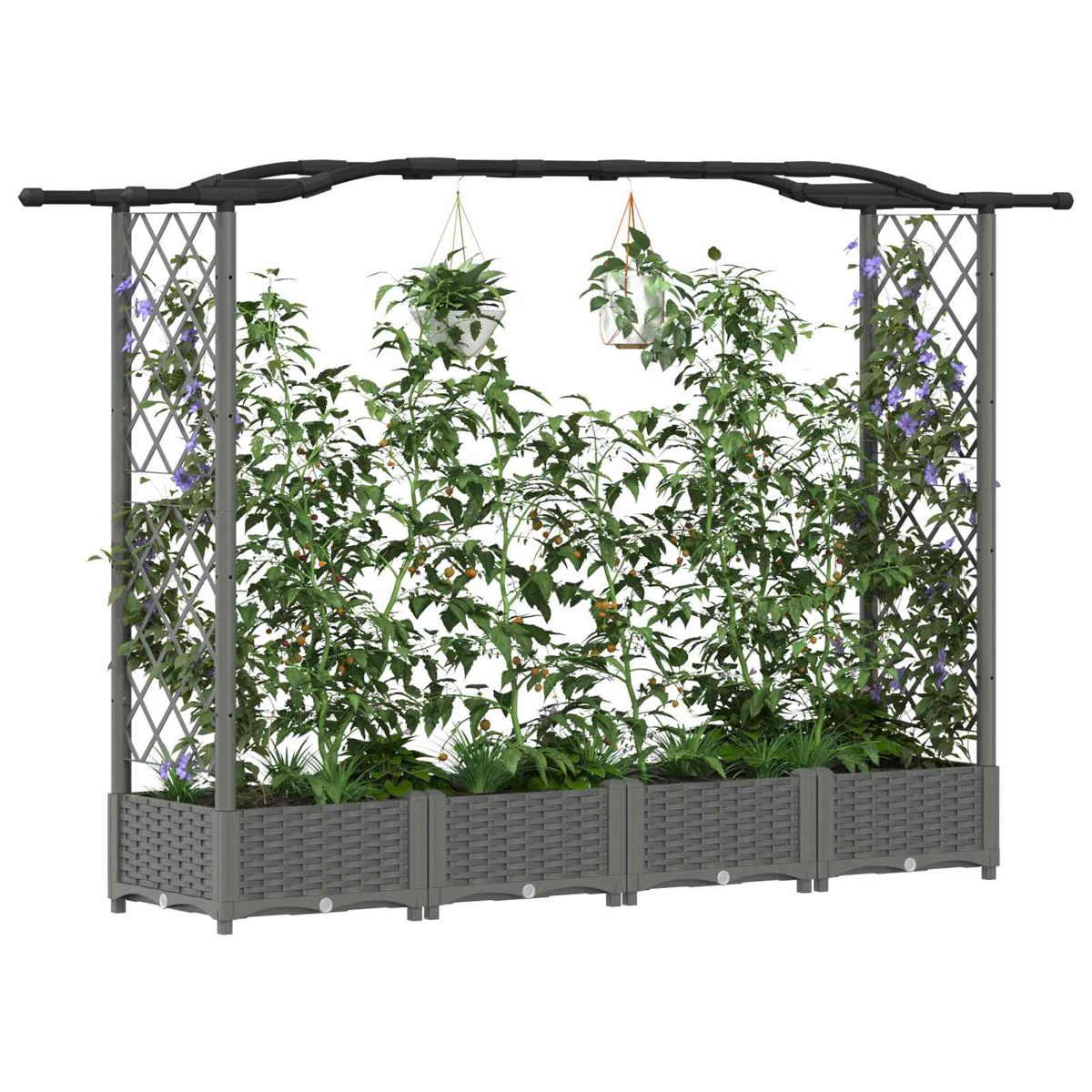 Ein grauer Rankgitter-Pflanzkasten mit grünen Pflanzen, Blumen und Früchten.