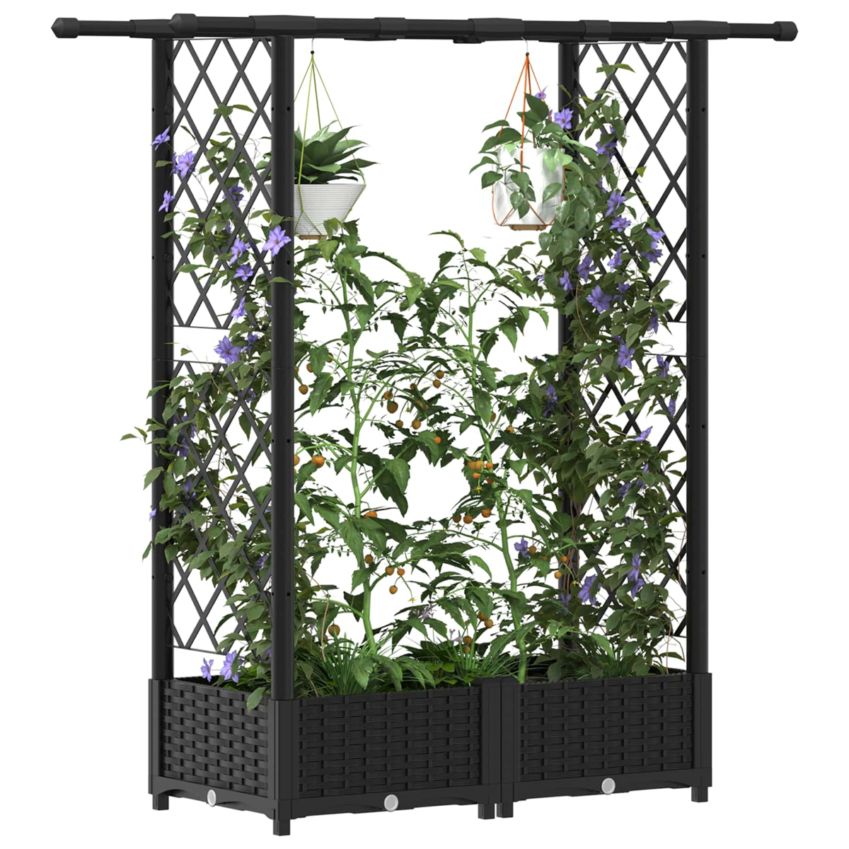 Ein schwarzes Rankgitter mit zwei Pflanzkästen, bewachsen mit grünen Pflanzen und lila Blüten.