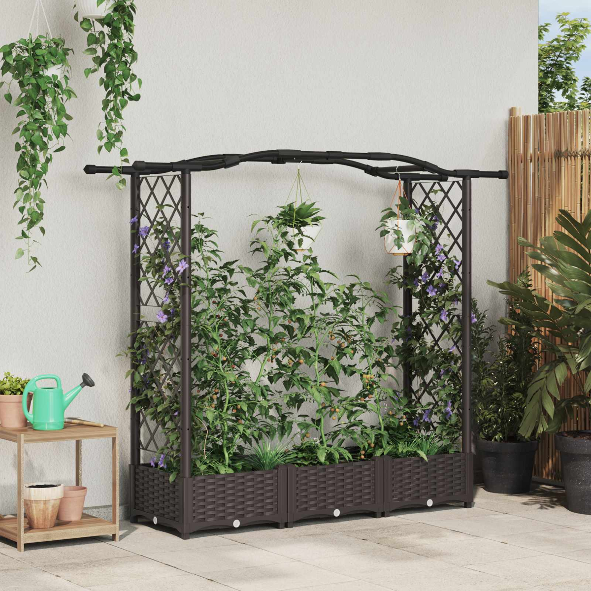Ein vertikaler Garten mit Pflanzen, die an einem Spalier vor einer weißen Wand klettern.