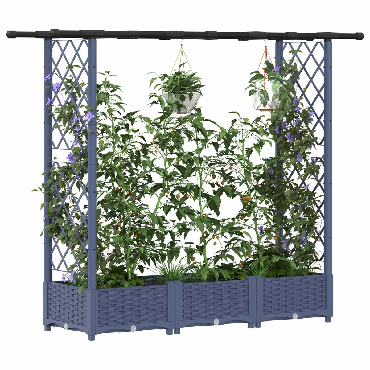 Blaue Pflanzkästen mit Spalieren, darauf wachsen Tomaten und blaue Blumen.