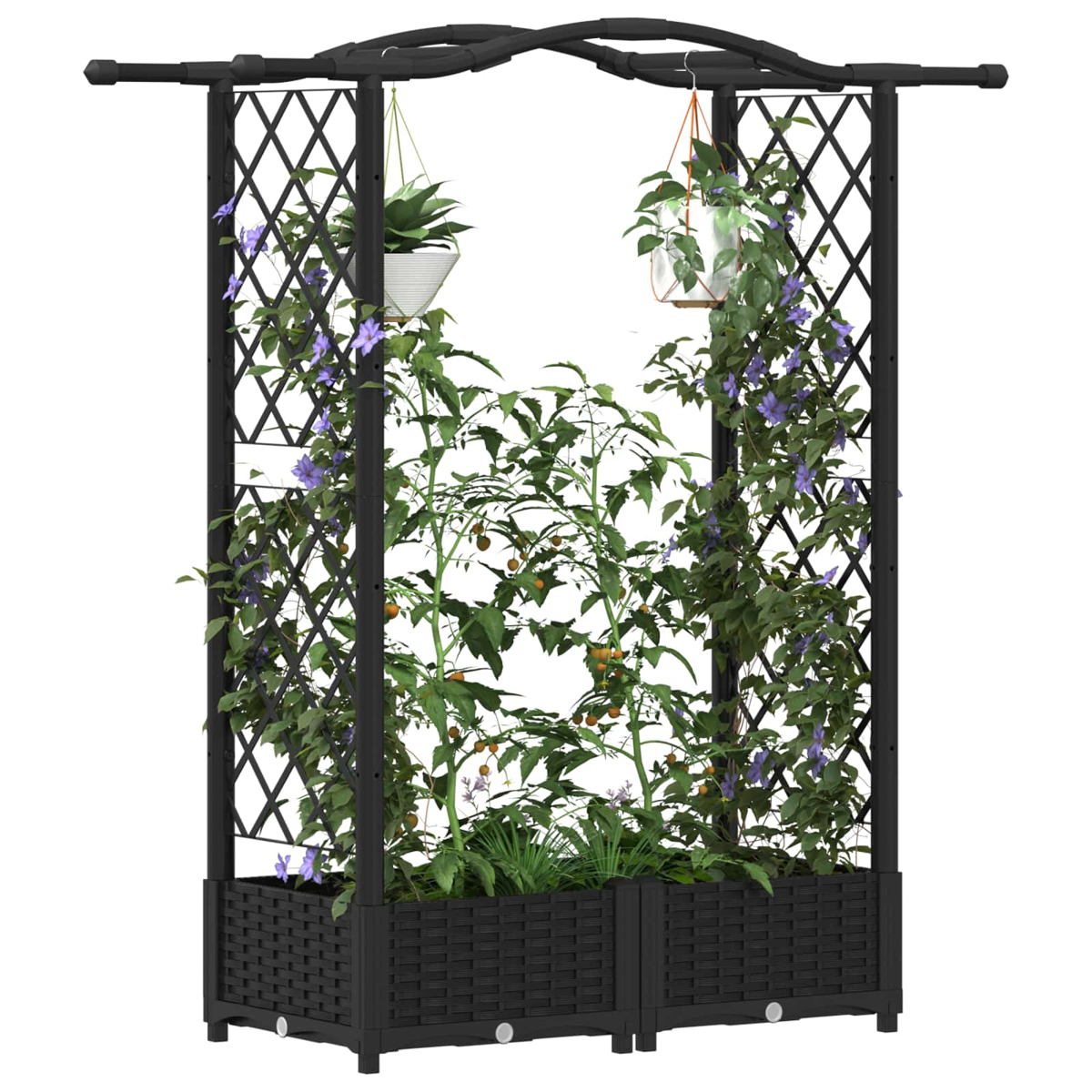 Ein schwarzer Rankgitter-Pflanzkasten mit Pflanzen und Blumen, auf weißem Hintergrund.