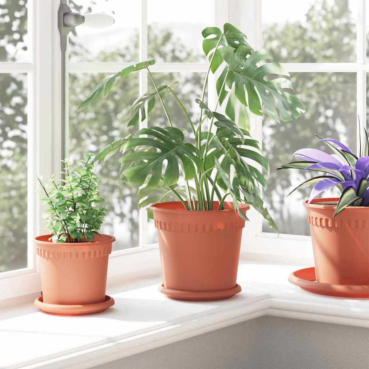 Tre piante in vaso su un davanzale: una felce, una monstera e una pianta viola.