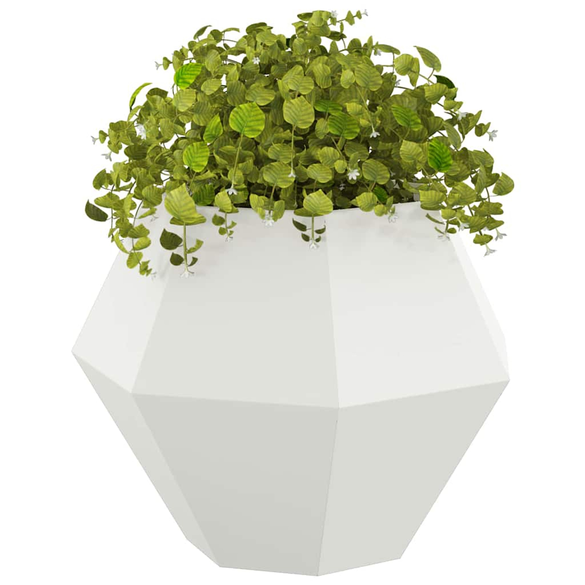 Una pianta verde con piccoli fiori bianchi in un vaso bianco sfaccettato.