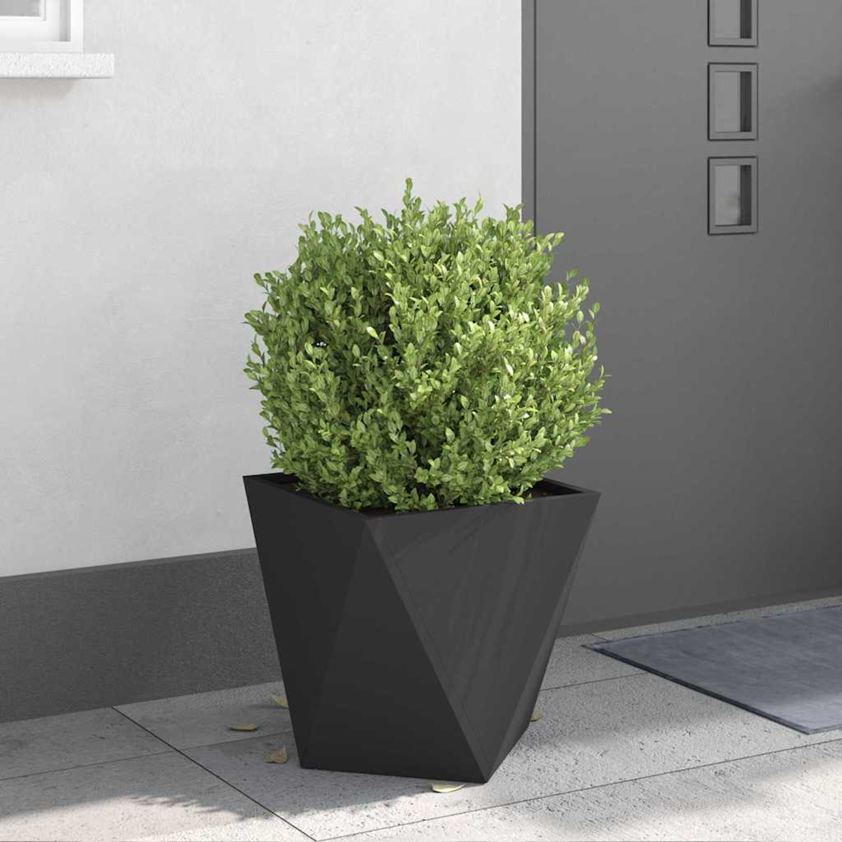 Un cespuglio verde in un vaso geometrico nero davanti a una casa.