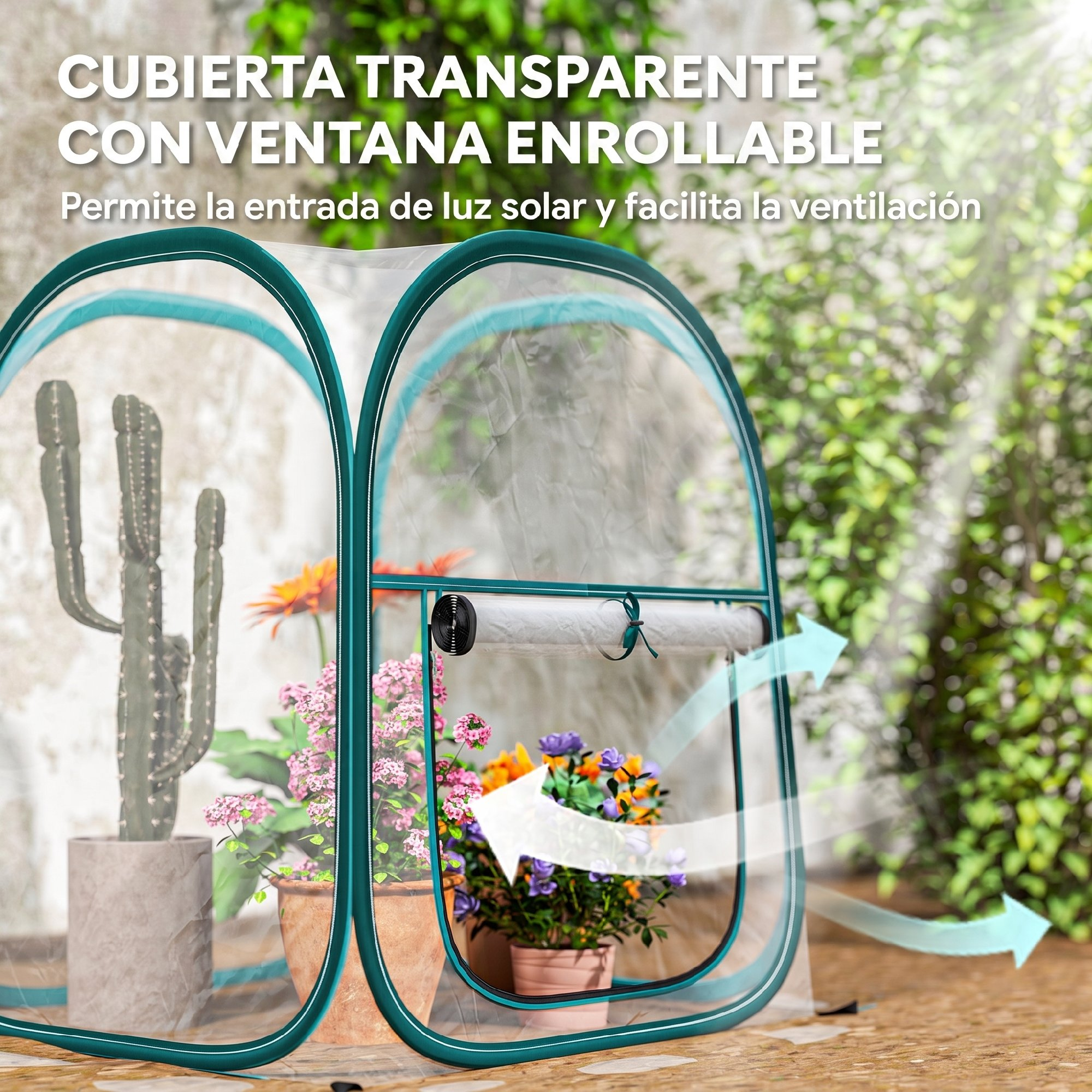 Túnel de invernadero transparente con plantas y ventana enrollable.
