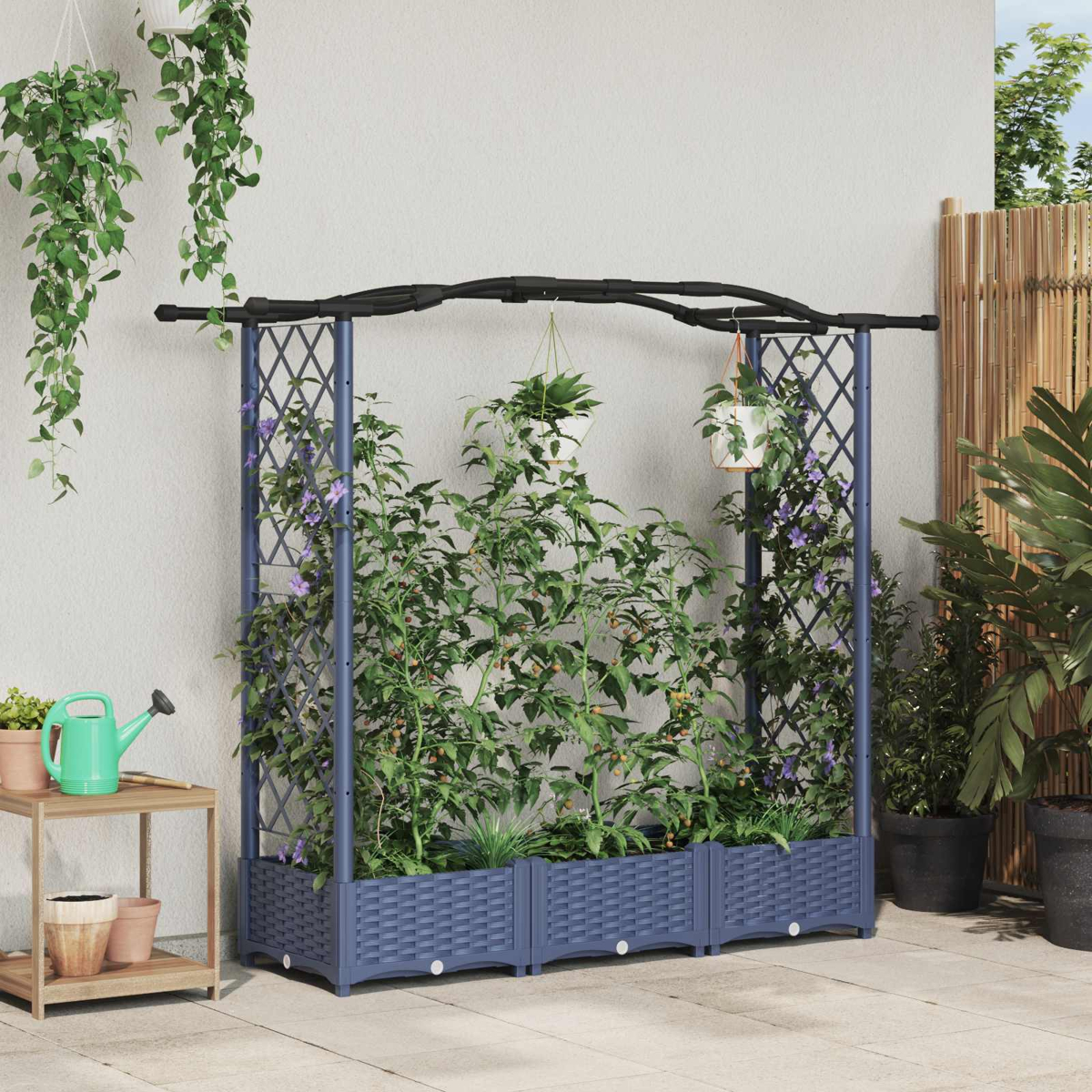 Ein vertikales Gartenbeet mit Rankgitter und Pflanzen.