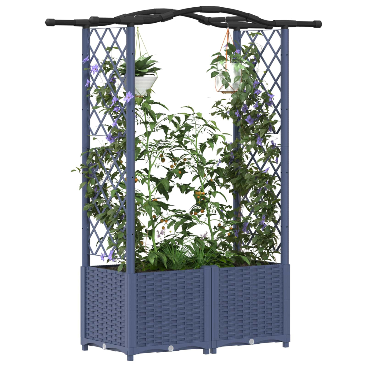 Ein blauer Rankgitter-Pflanzkasten mit Tomaten und lila Blumen.