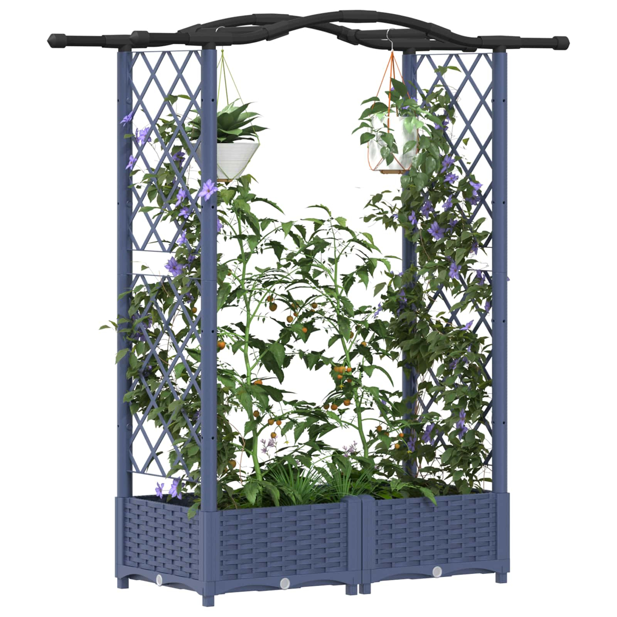 Ein blauer Rankgitter mit Pflanzen, Tomaten und Blumen