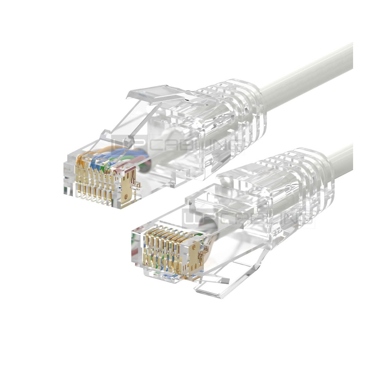 Due connettori RJ45 trasparenti con fili visibili e un cavo bianco su sfondo bianco.
