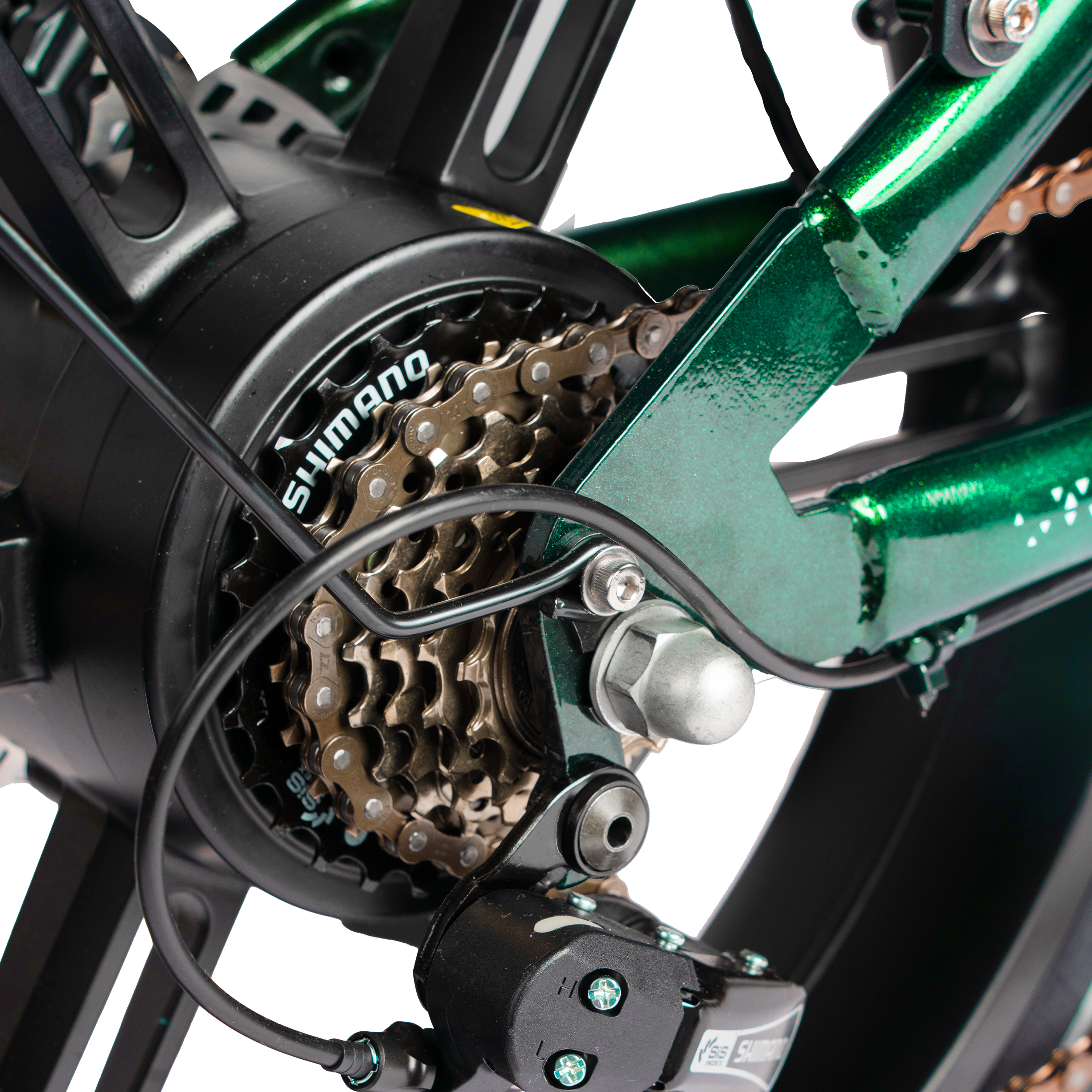 Primo piano della catena e della cassetta di una bici verde con marchio Shimano.