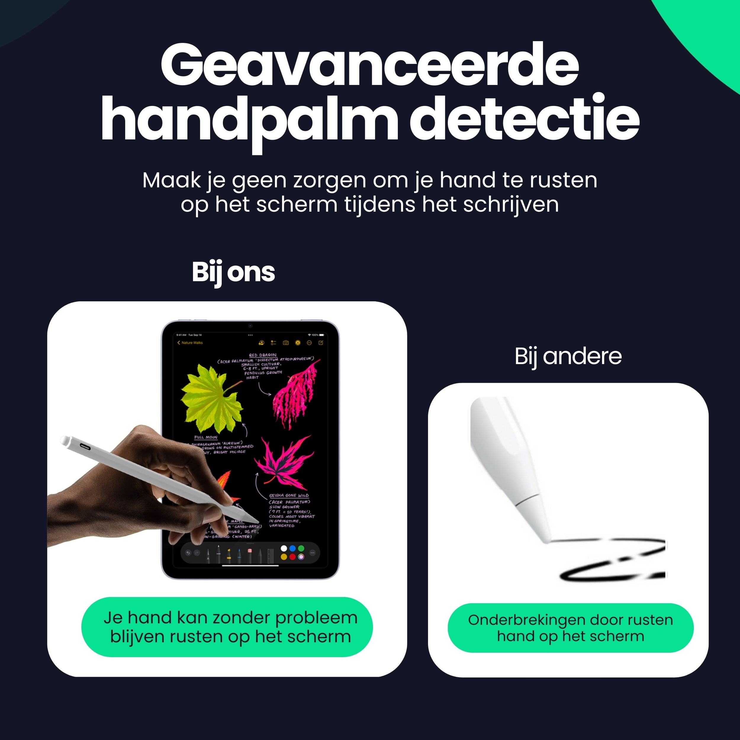 Image shows a tablet with botanical drawings and a stylus. Beside it, a white stylus.