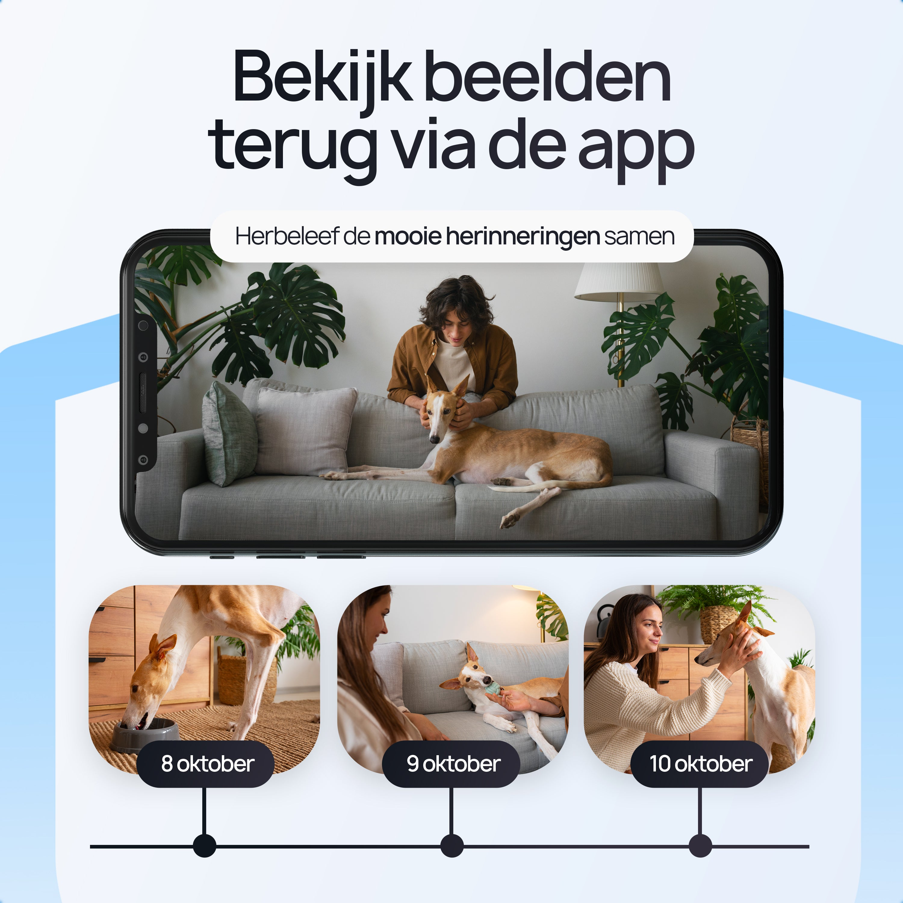 Een persoon aait een hond op een bank. Hieronder drie scènes van een hond met datums.