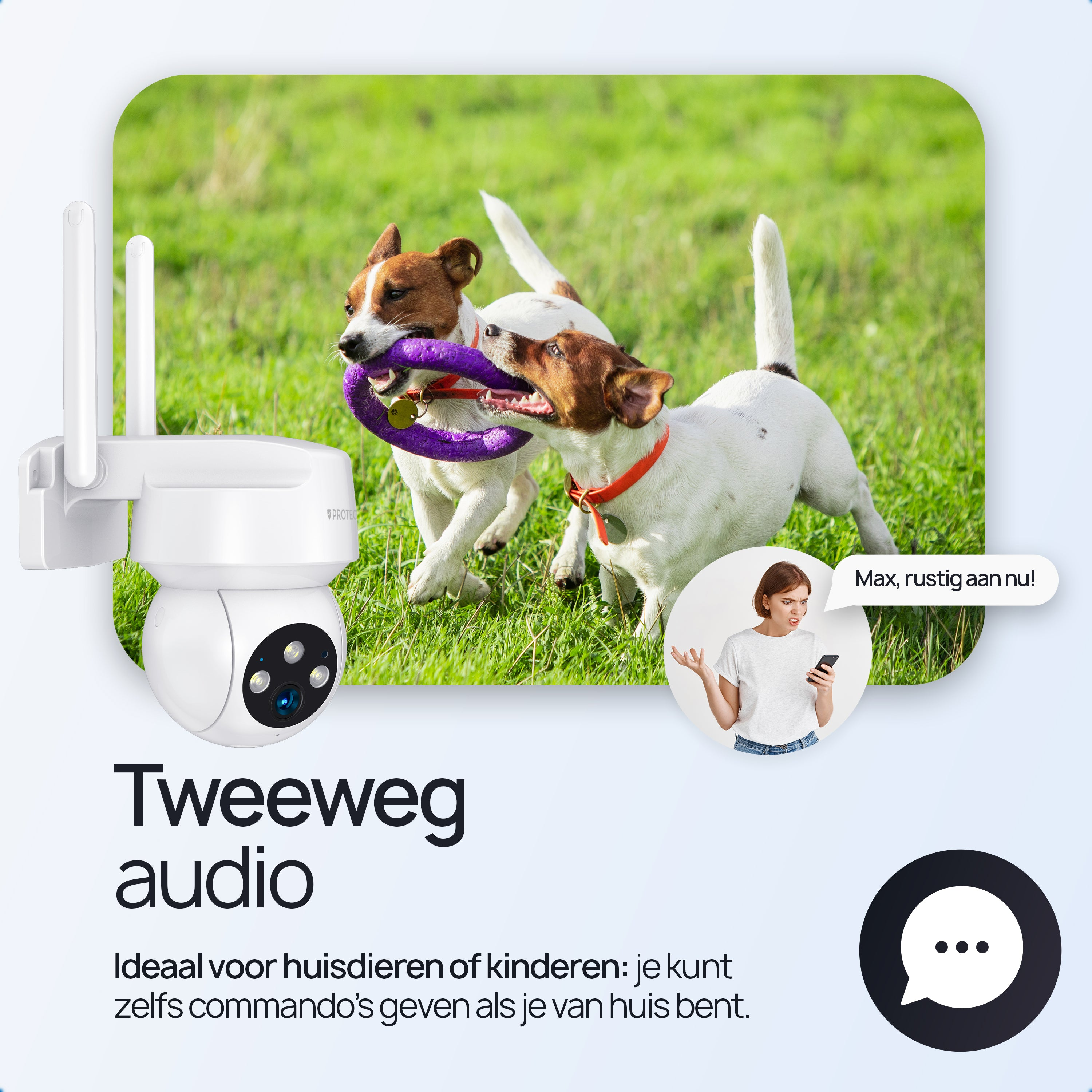 Twee honden spelen met een paars speeltje in het gras bij een beveiligingscamera.
