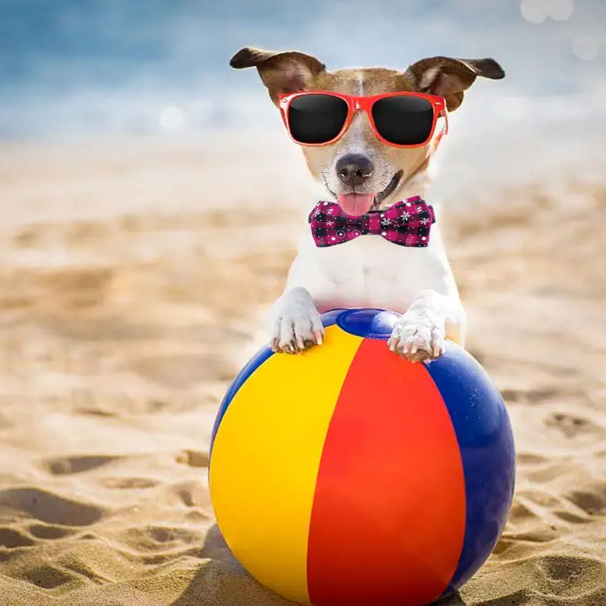 Ein Hund mit Sonnenbrille und Fliege sitzt am Strand und hält einen bunten Strandball.