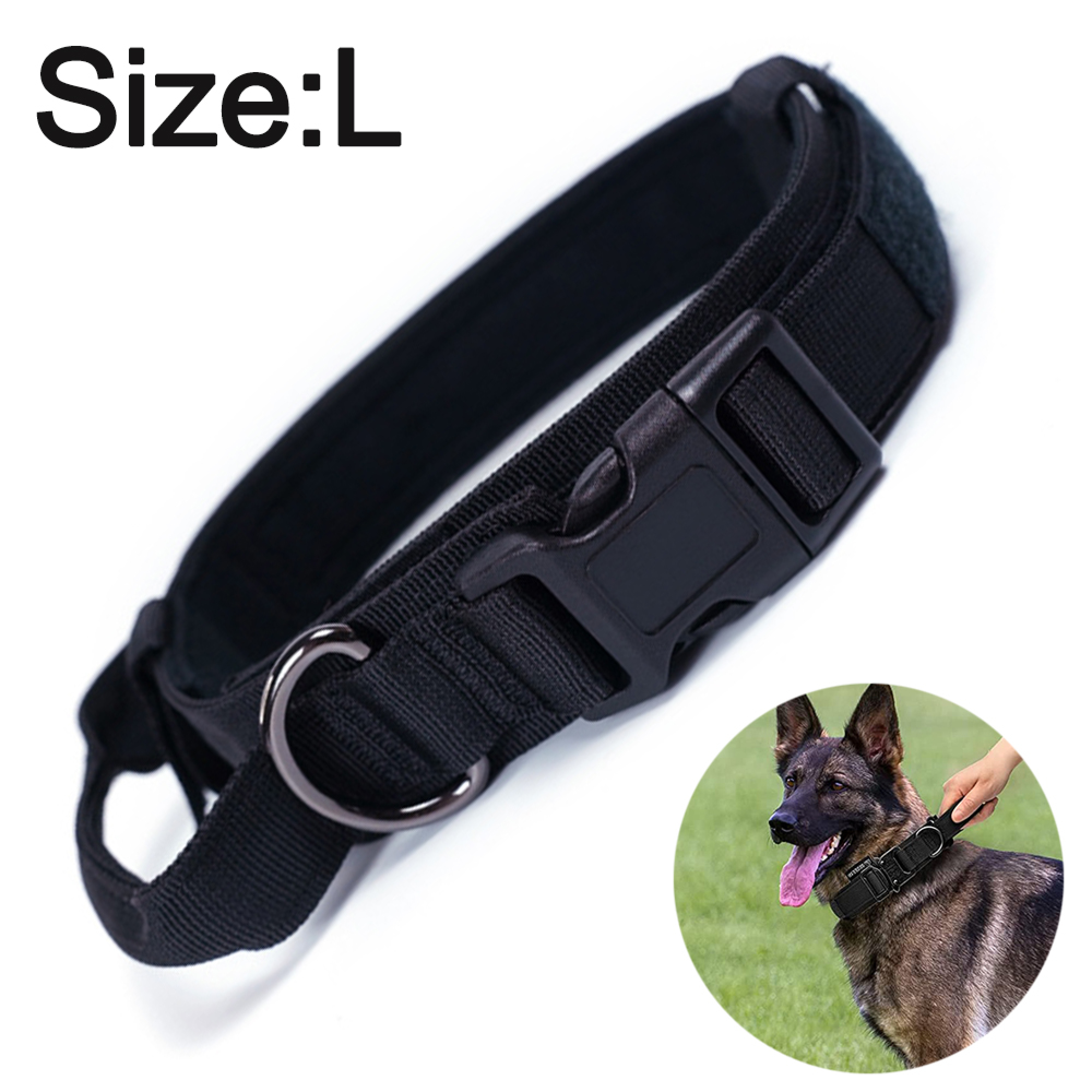 Schwarzer Hundehalsband mit Schnalle und Ring, Größe L. Hund trägt es.
