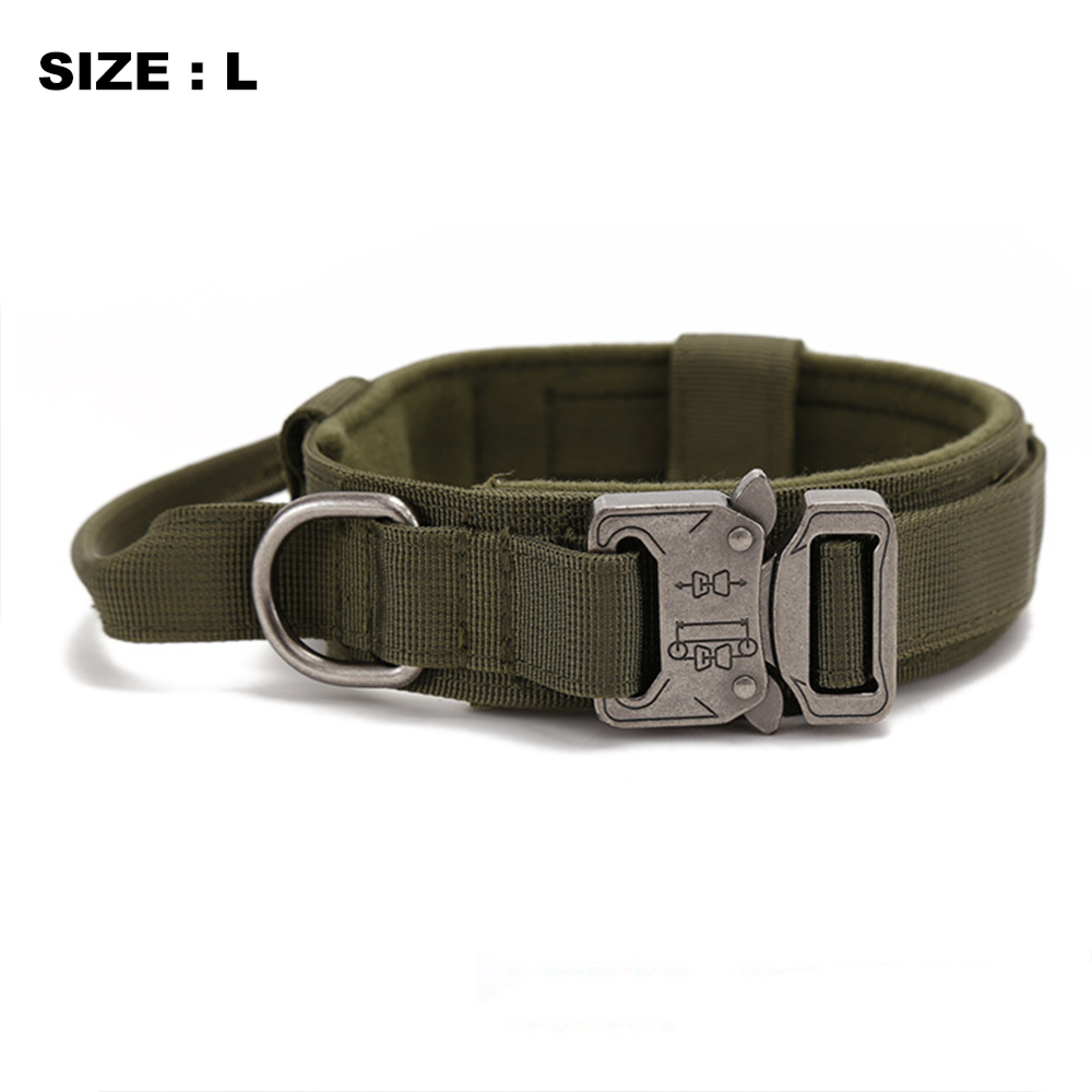 Ein dunkelgrünes Hundehalsband mit Metallverschluss und D-Ring.