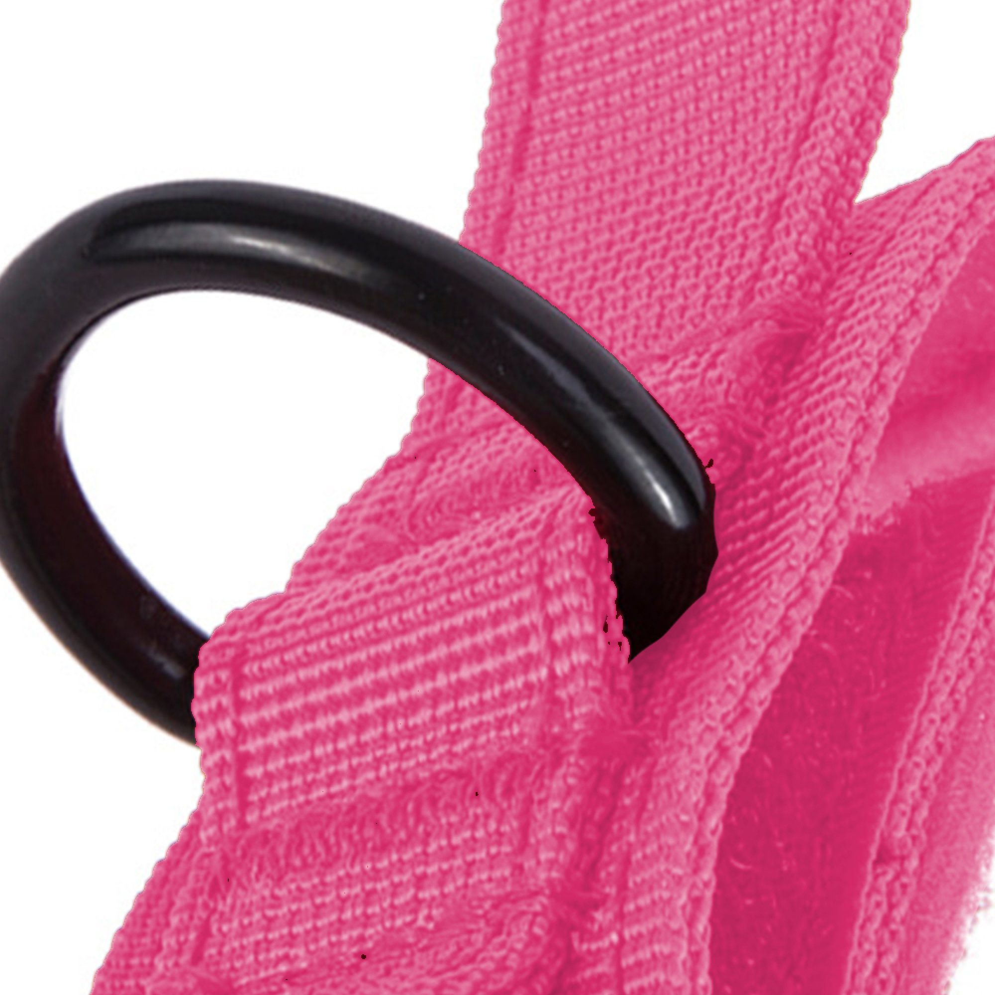 Ein schwarzer Ring an einem rosa Gurtzeug.