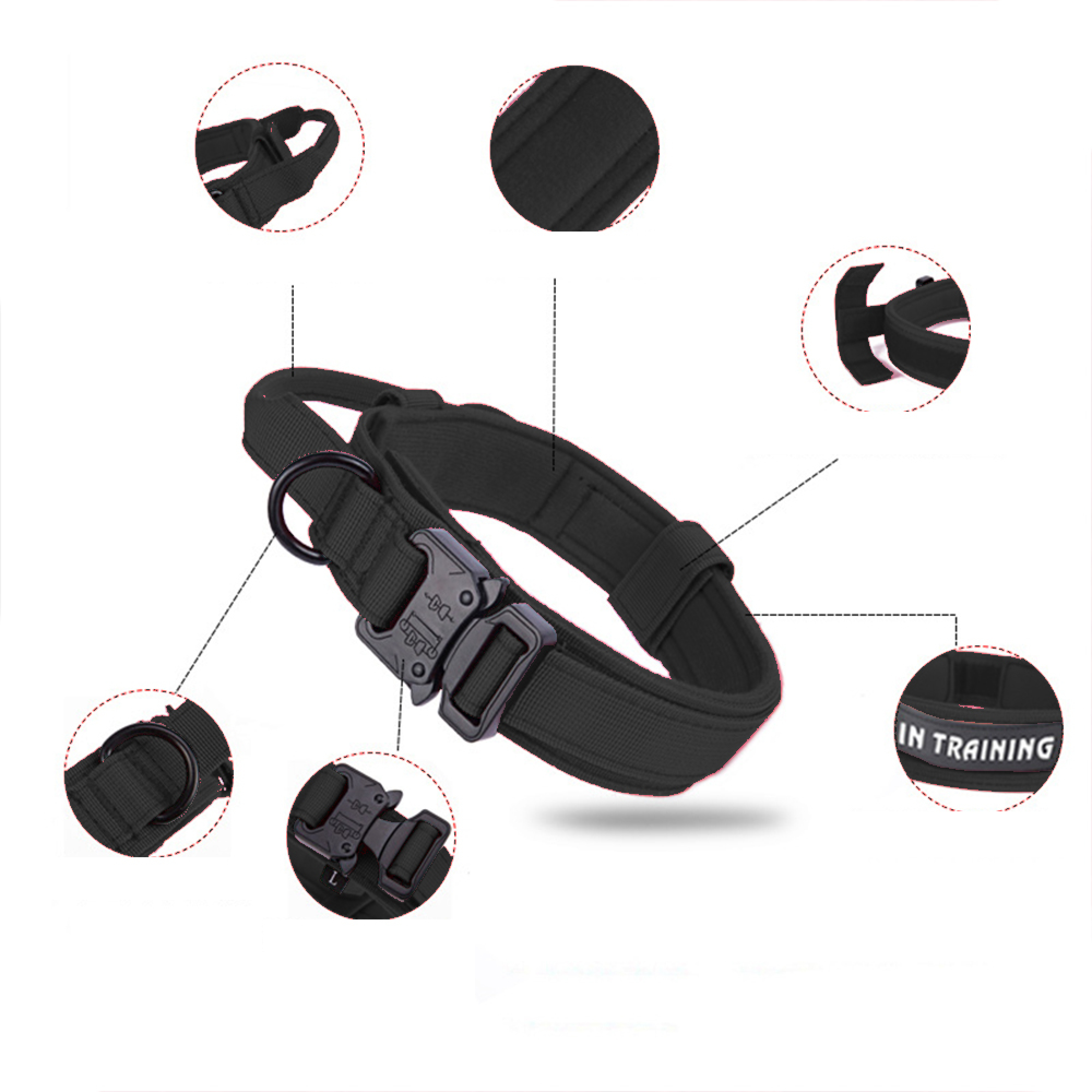 Schwarzes Hundehalsband mit Metallschnalle, Ringen und 'IN TRAINING'-Aufschrift.