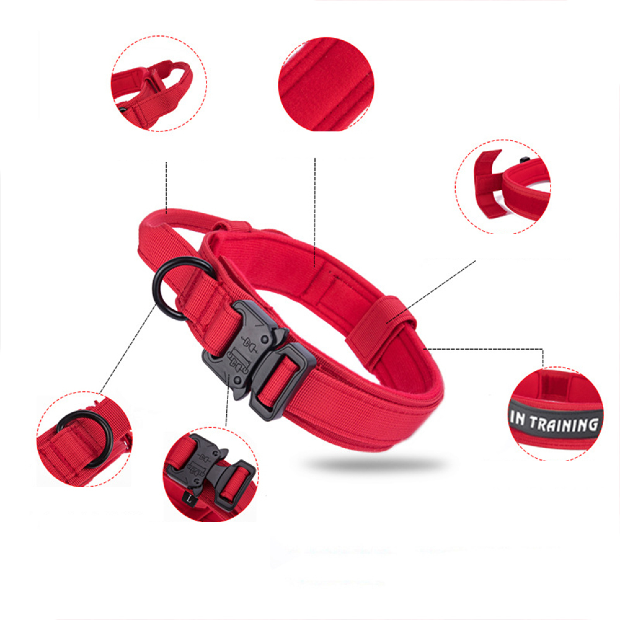 Rotes Hundehalsband mit Metallschnalle und "IN TRAINING"-Anhänger. Nahaufnahmen zeigen Schnallen- und Gurtendetails.