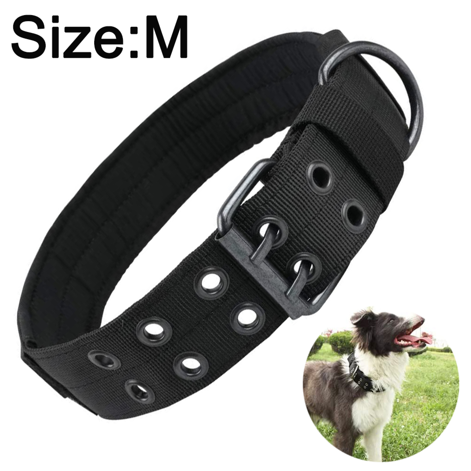 Schwarzer Hundehalsband mit Metallring und Nieten, Größenangabe M.