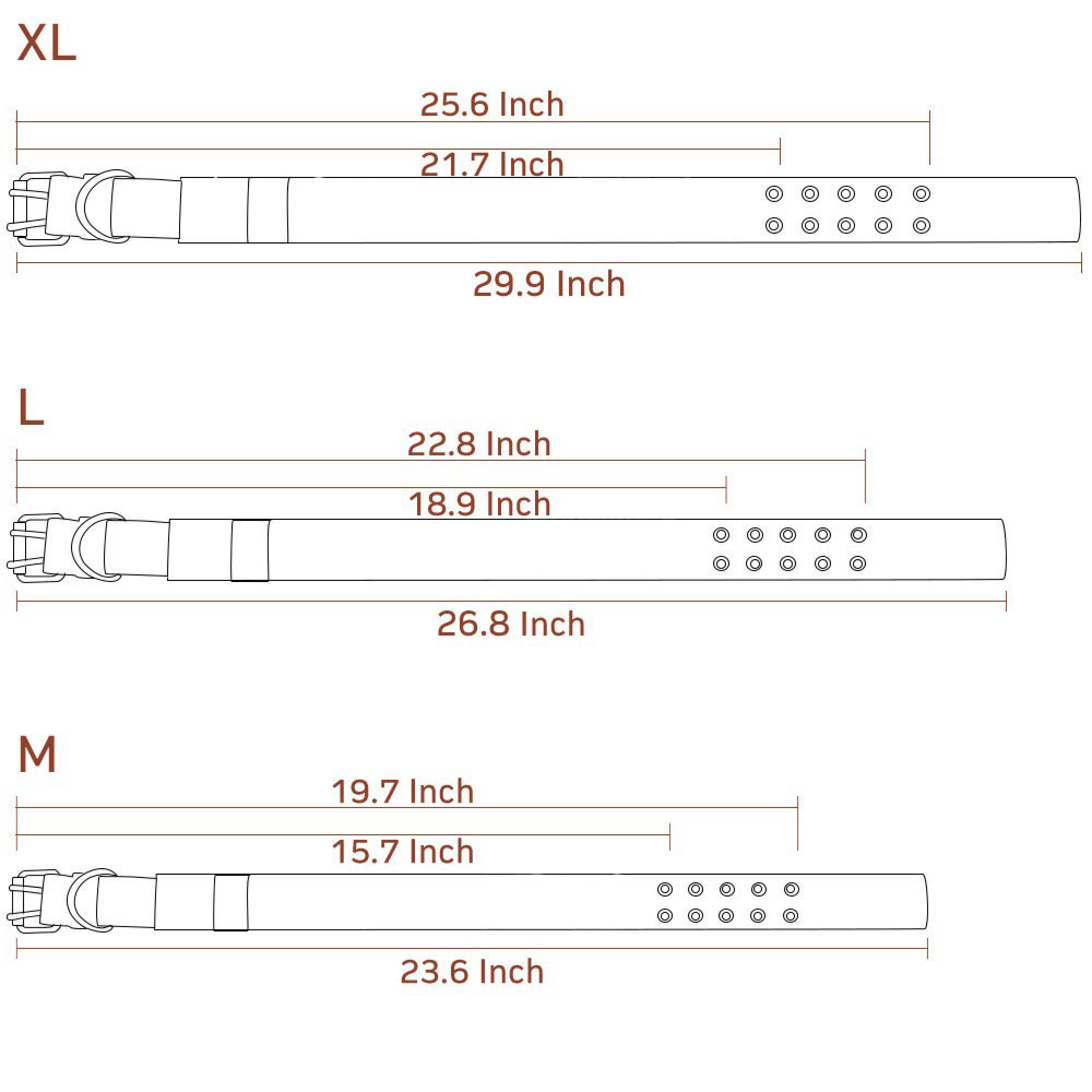 Größentabelle für Hundehalsbänder: XL, L, M mit Maßen in Zoll.
