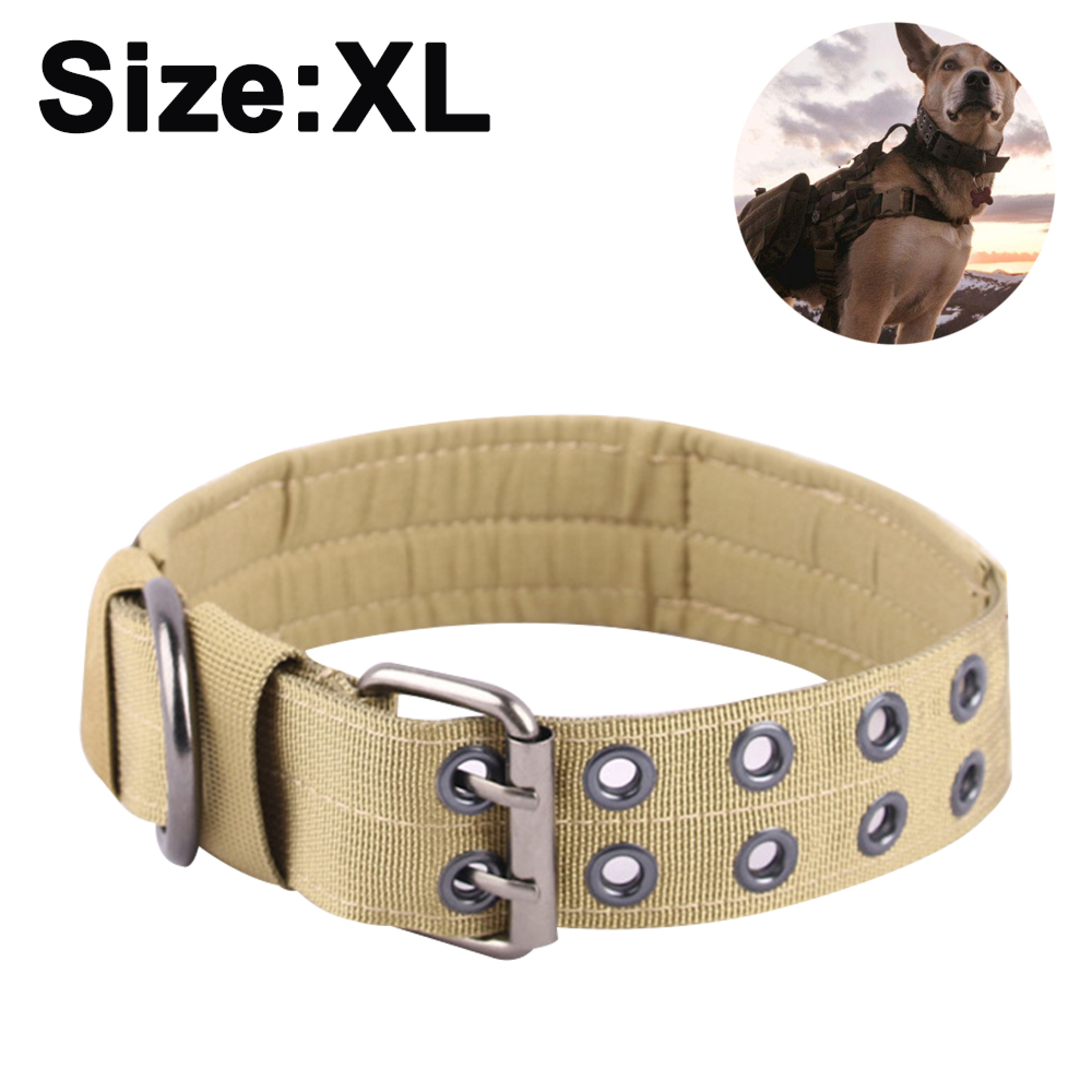 Ein beiger Hundehalsband mit Metallösen und Schnalle. Oben rechts ist ein Hund mit Weste zu sehen.