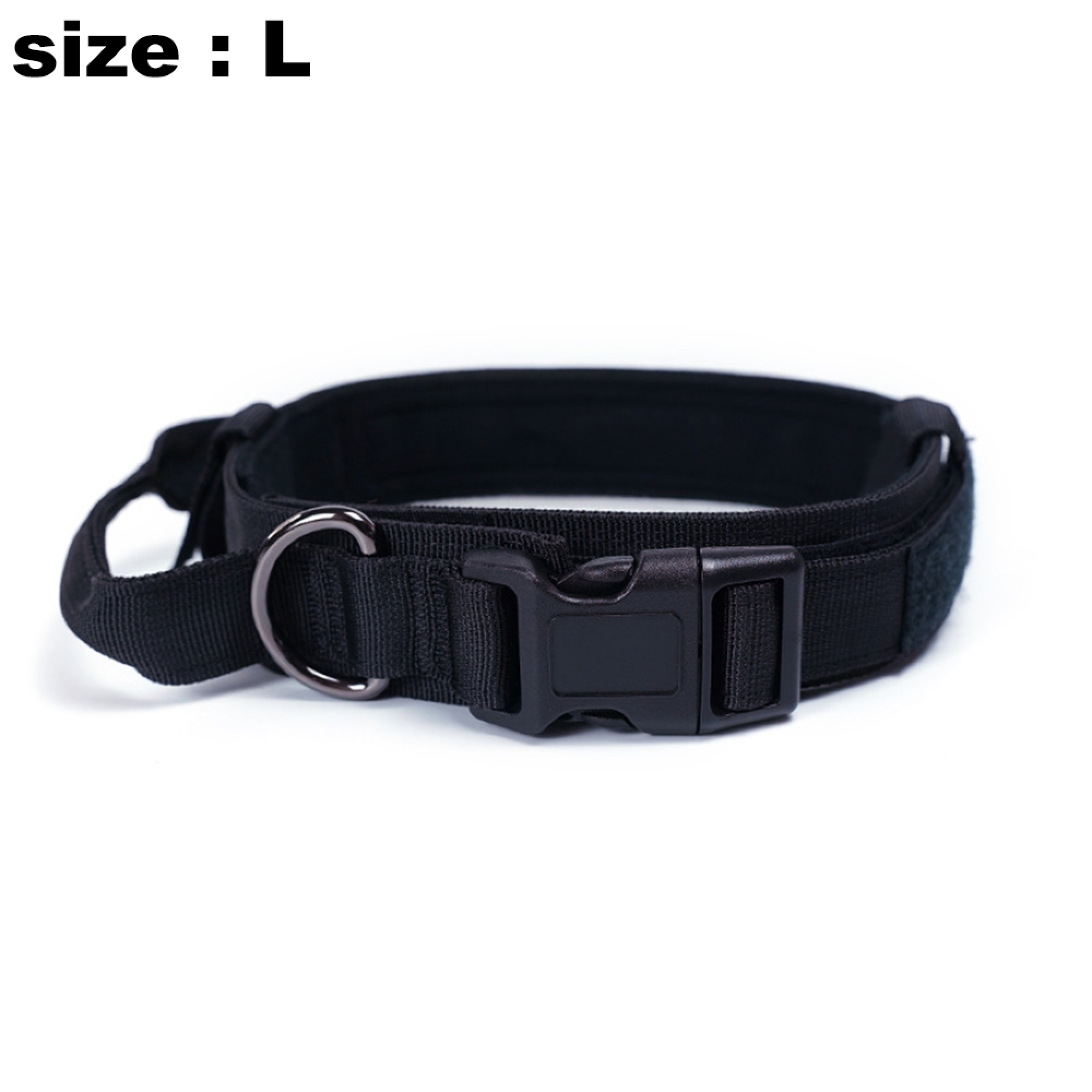 Ein schwarzer Hundehalsband mit D-Ring und Schnalle.